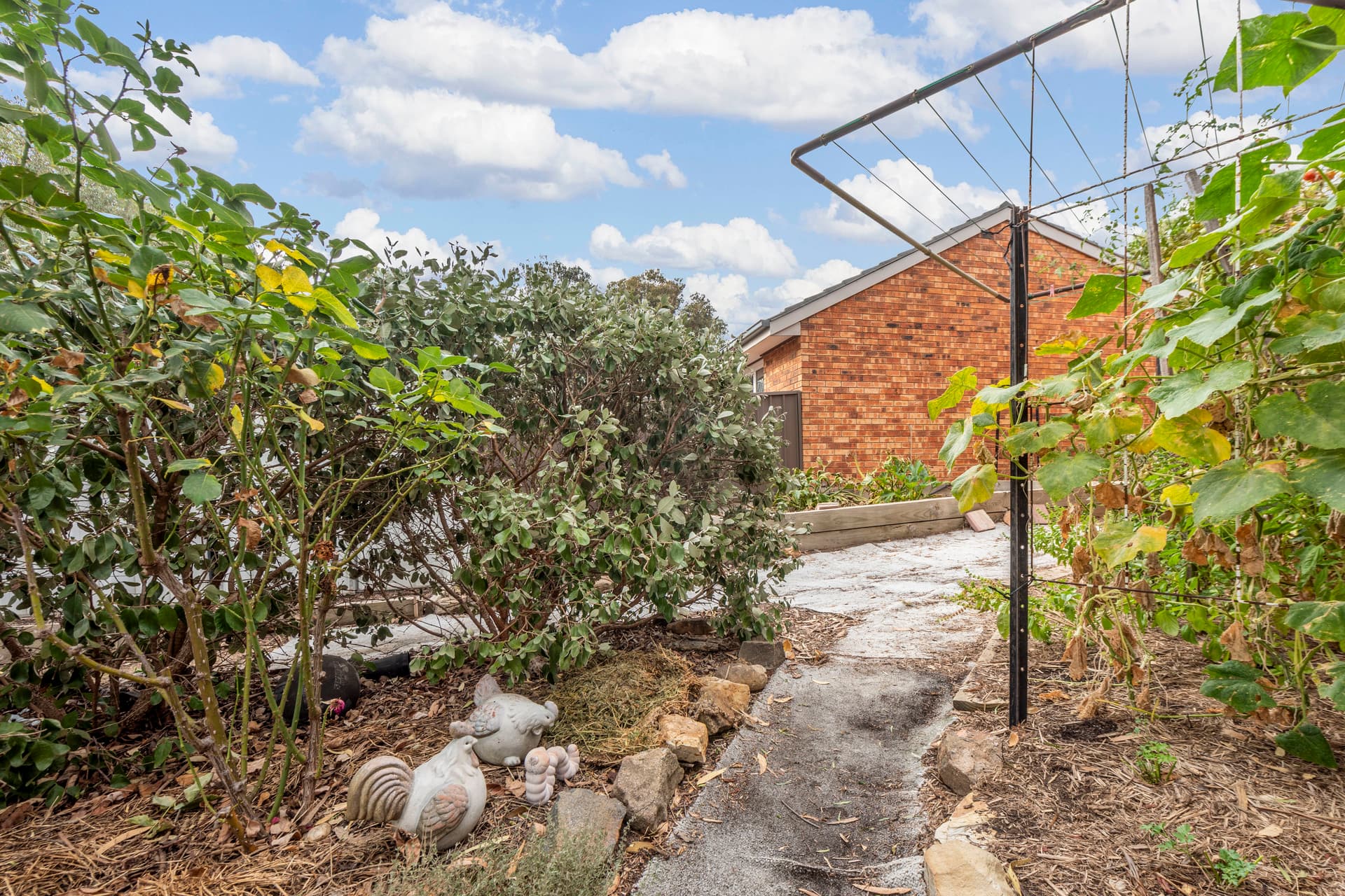 22 Kumm Place, Cook ACT 2614, Cook - Thumbnail 6