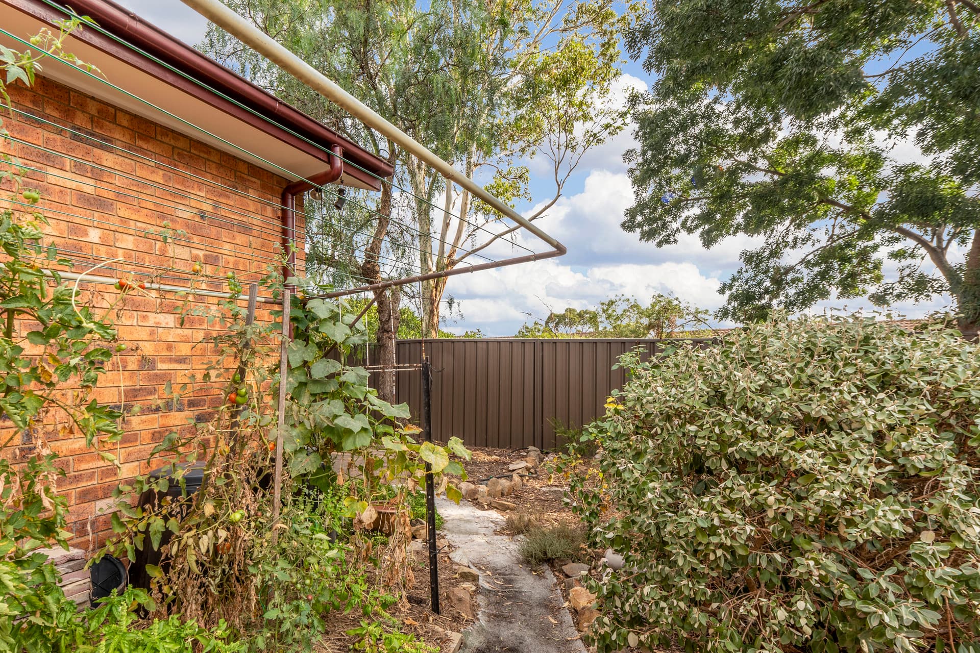 22 Kumm Place, Cook ACT 2614, Cook - Thumbnail 5