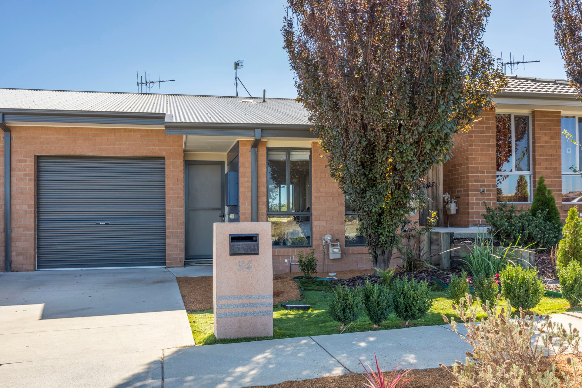 54 Refshauge Crescent, Macgregor ACT 2615, Macgregor - Thumbnail 5