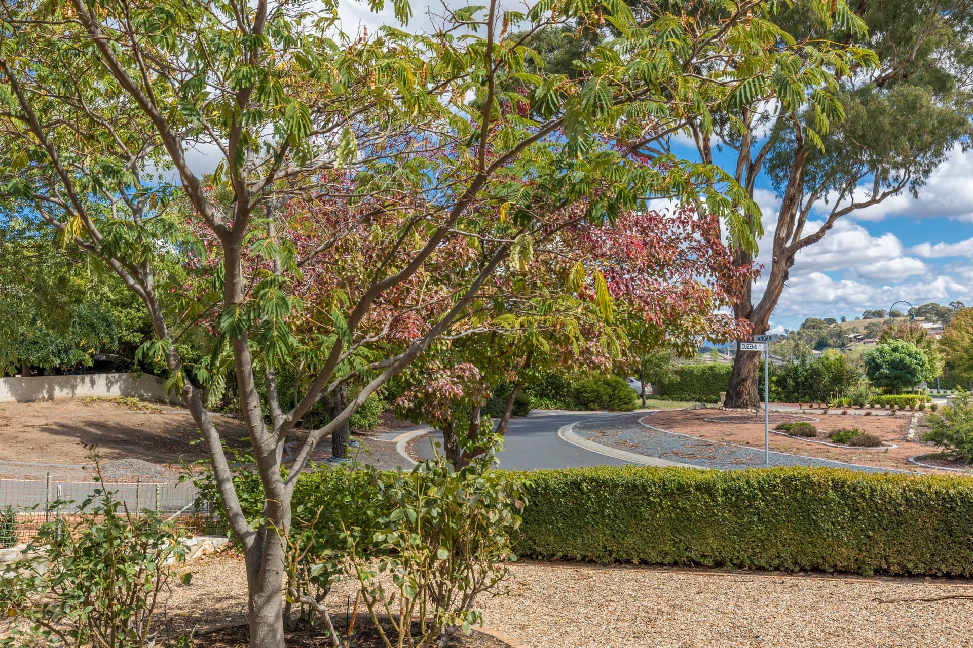 18 Tangari Street, Ngunnawal ACT 2913, Ngunnawal - Thumbnail 8