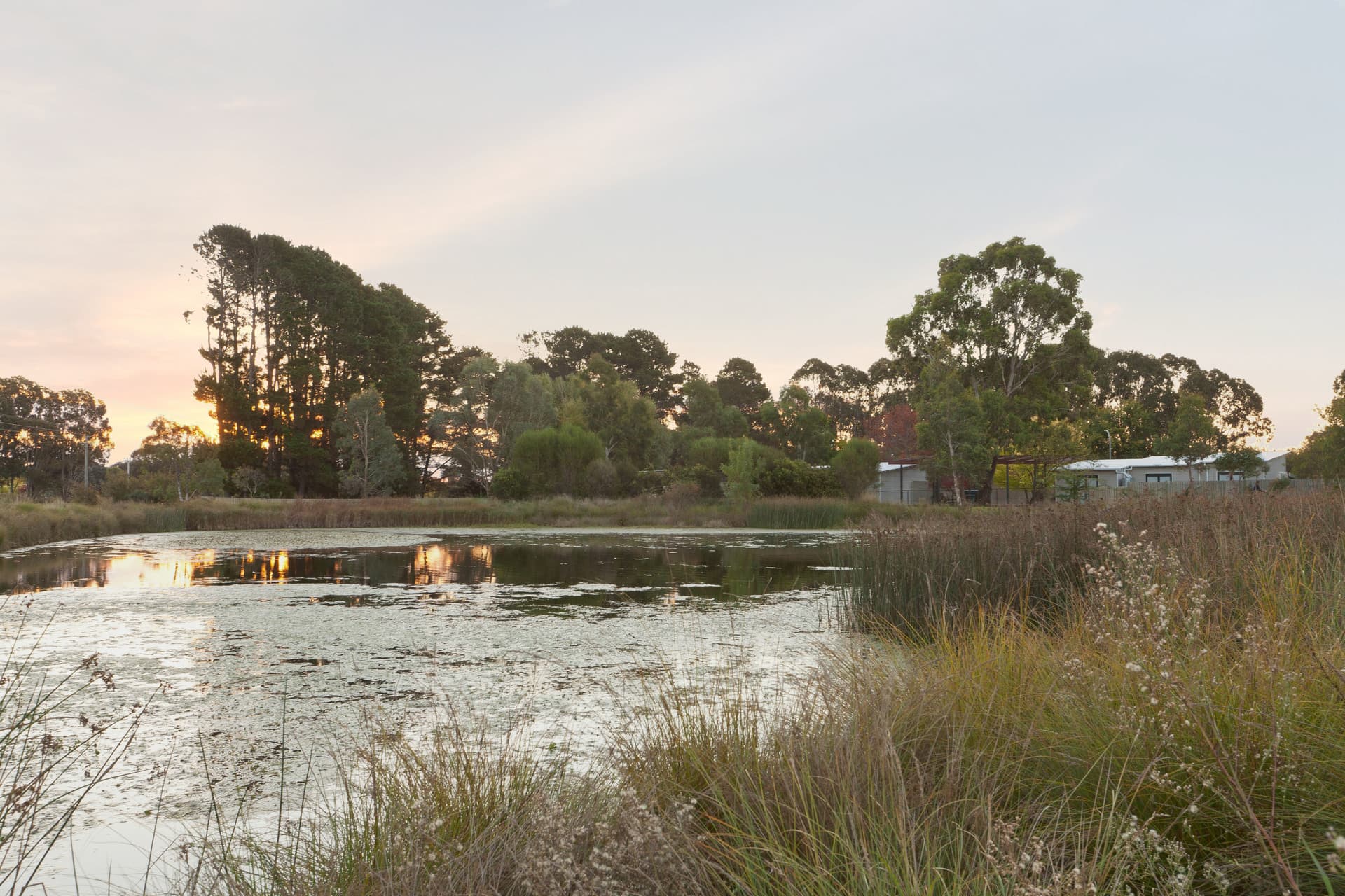 21 Bettie McNee Street, Watson ACT 2602, Watson - Thumbnail 8