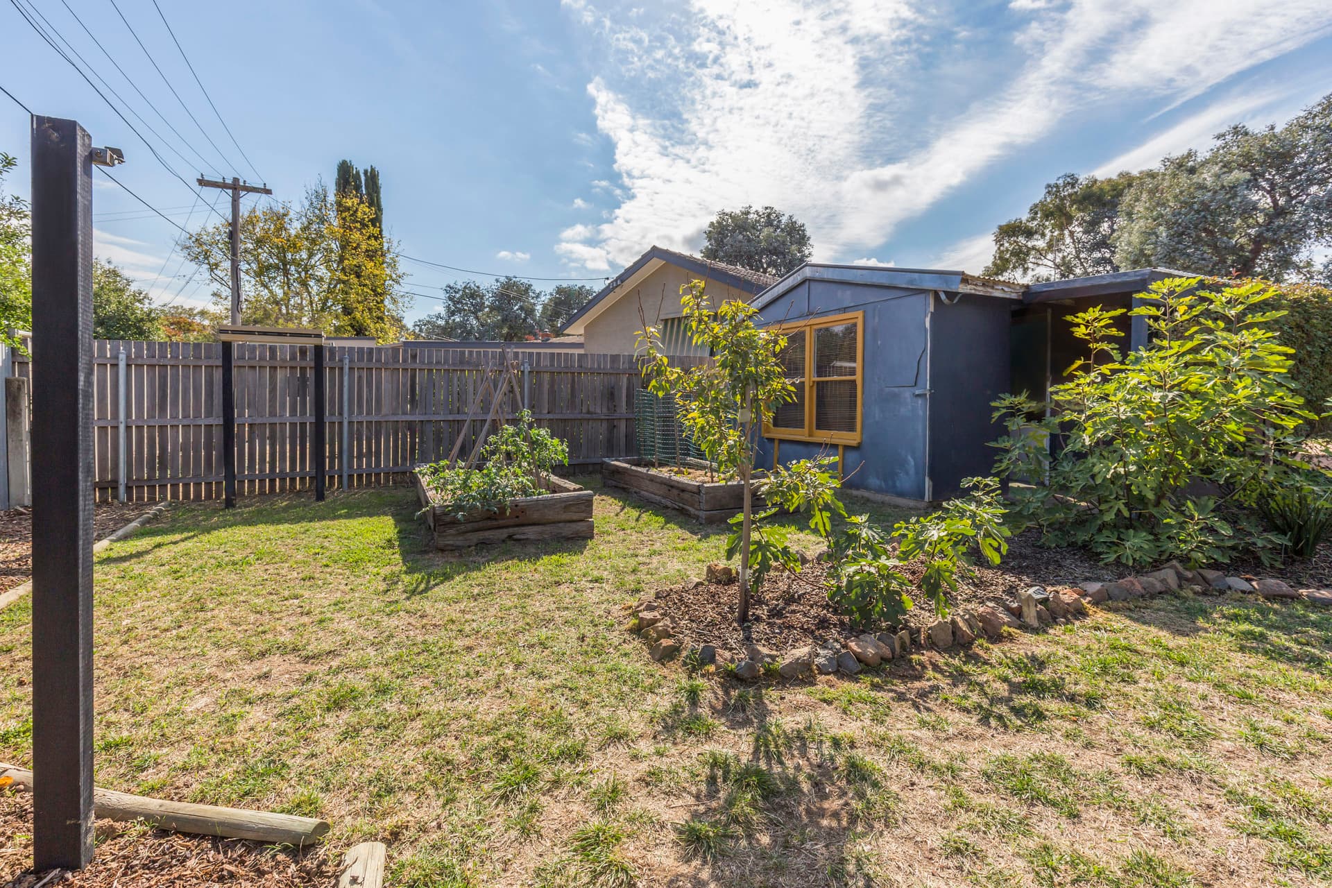 38 Wade Street, Watson ACT 2602, Watson - Thumbnail 6