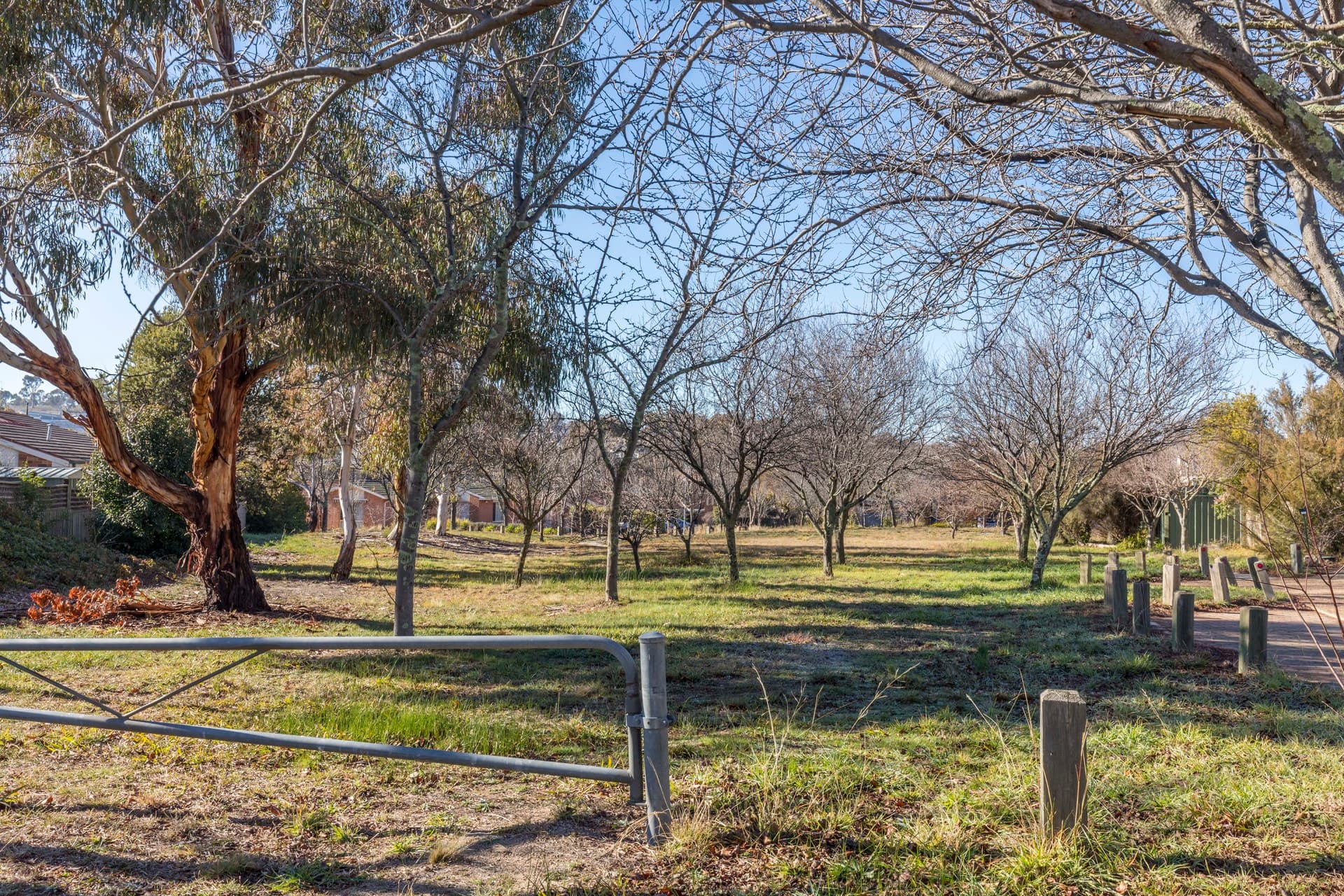 28 Honyong Crescent, Ngunnawal ACT 2913, Ngunnawal - Thumbnail 7