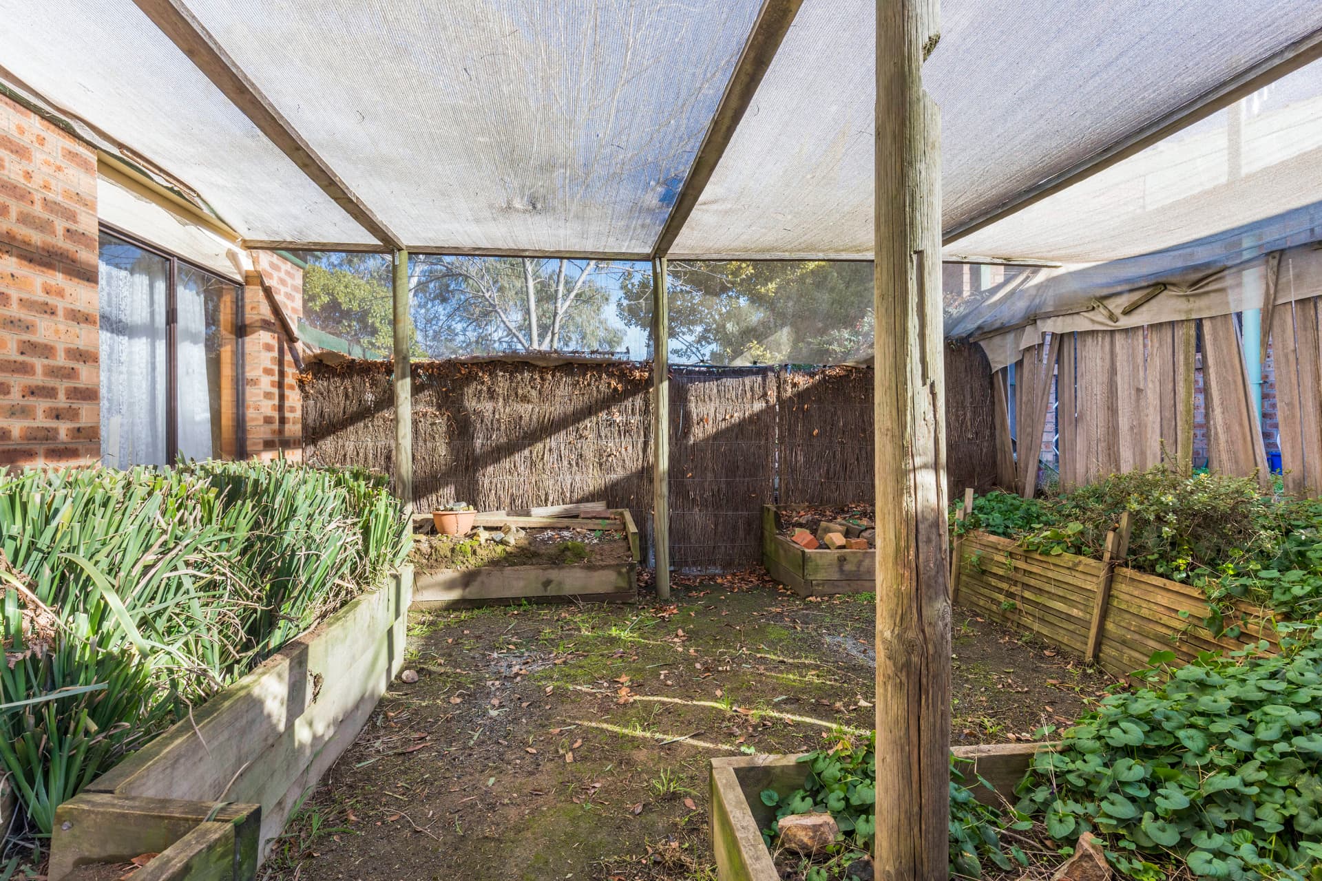 9 Macvitie Place, Macquarie ACT 2614, Macquarie - Thumbnail 5