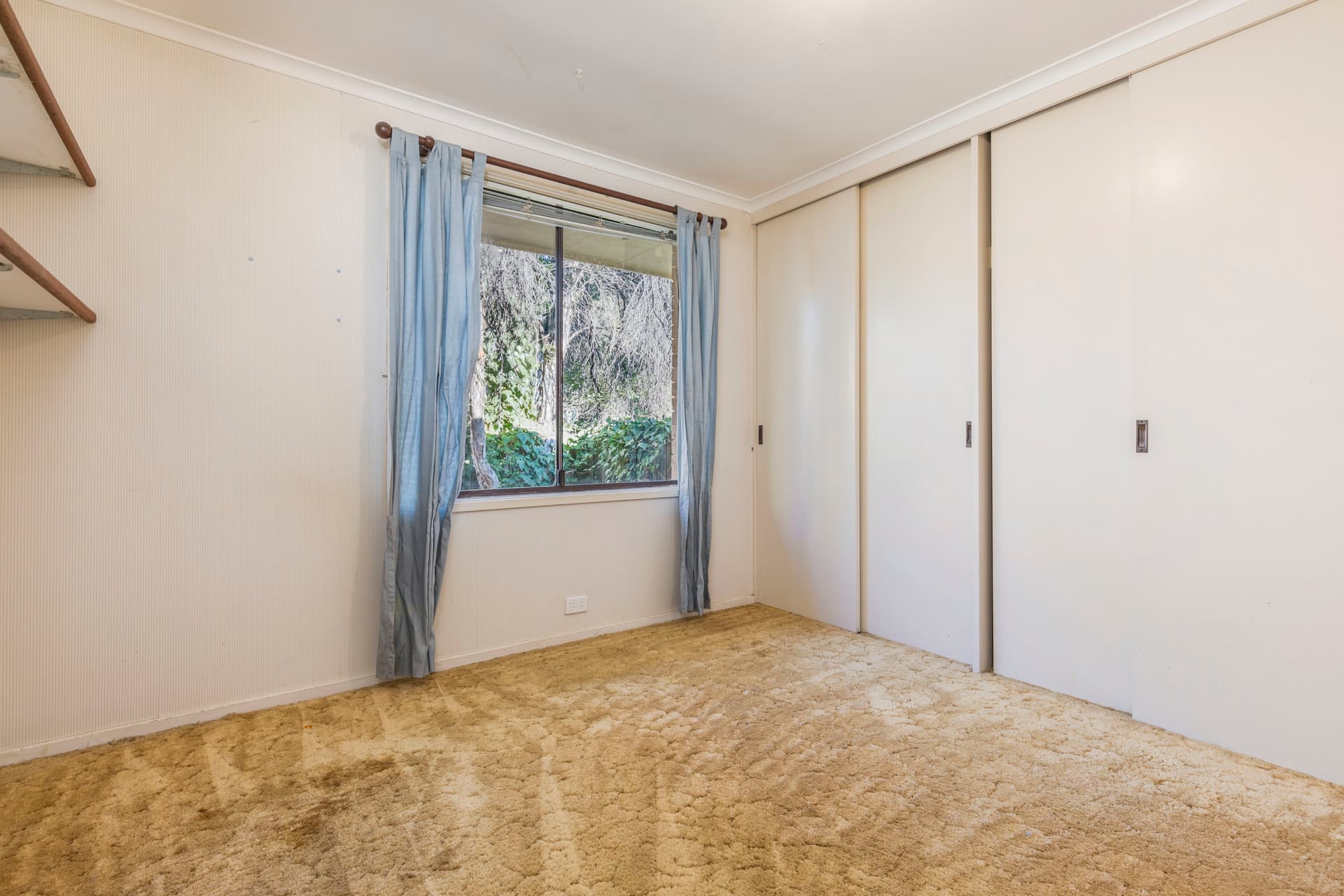 4 Birnie Place, Charnwood ACT 2615, Charnwood - Thumbnail 3