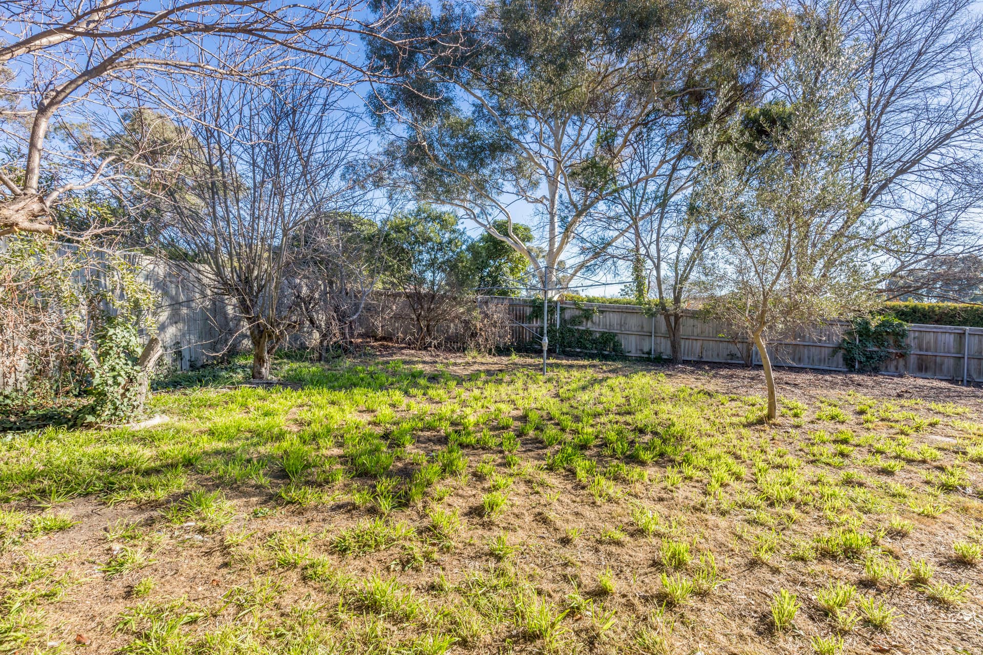 4 Birnie Place, Charnwood ACT 2615, Charnwood - Thumbnail 5