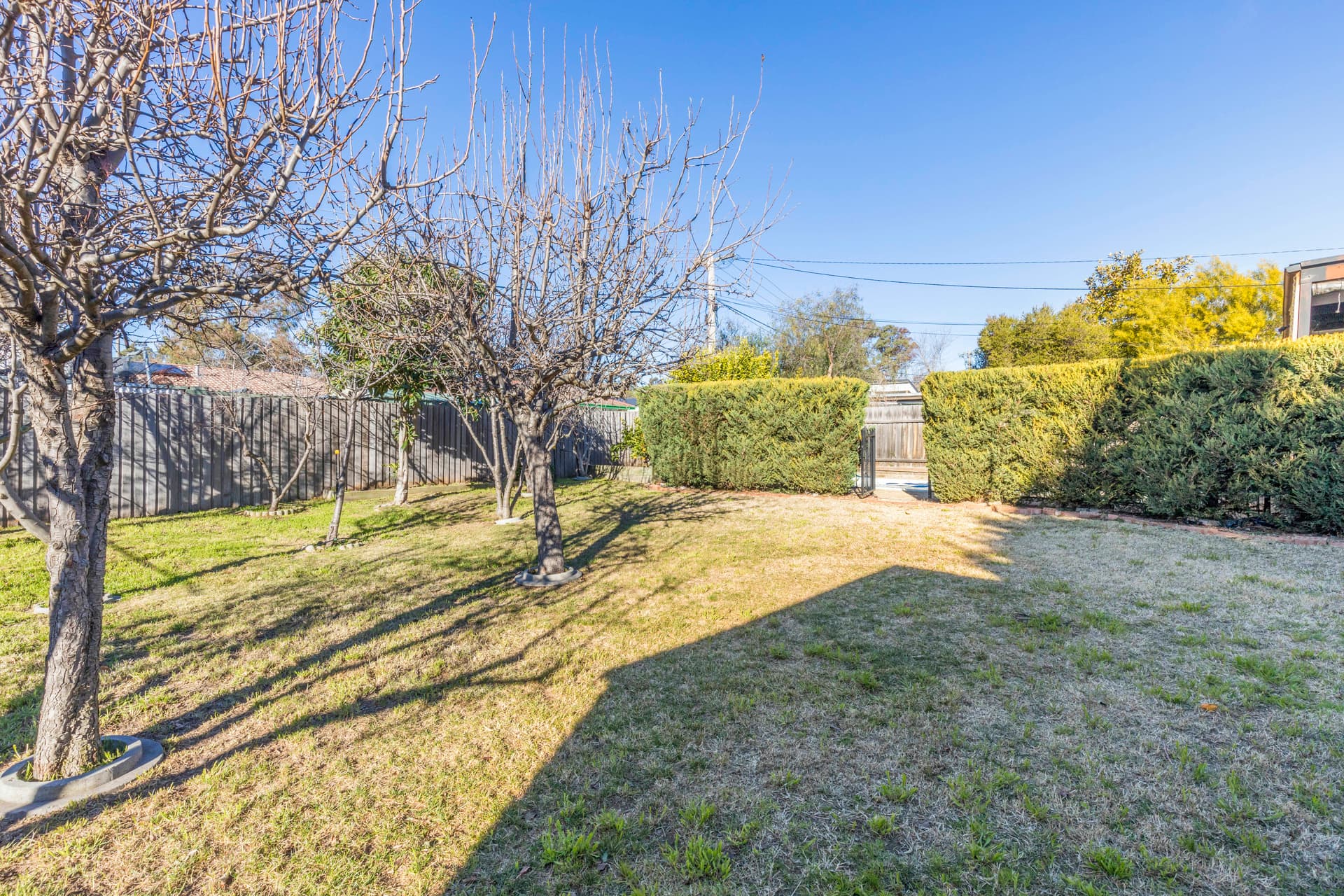 25 Malara Street, Waramanga ACT 2611, Waramanga - Thumbnail 3