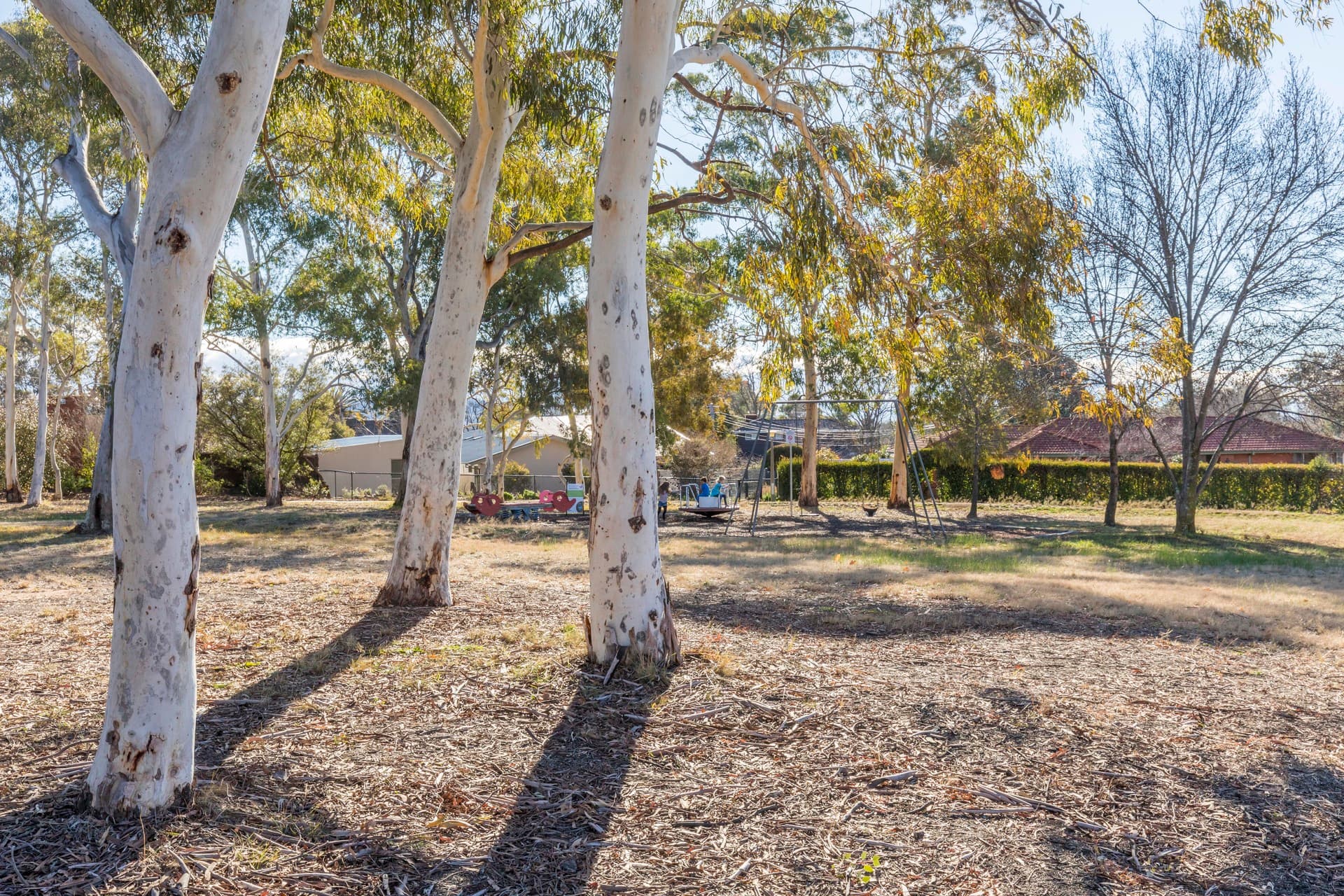 25 Malara Street, Waramanga ACT 2611, Waramanga - Thumbnail 6