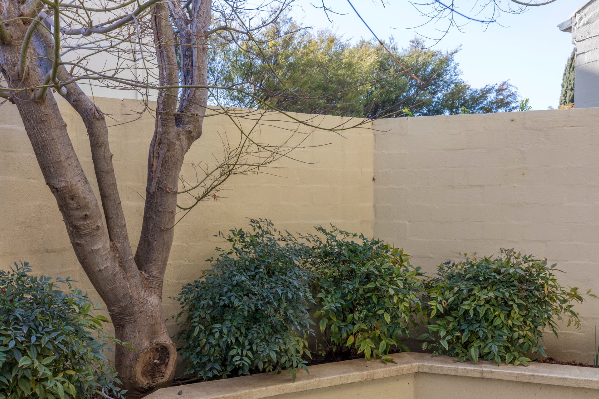 14/47 Eyre Street, Kingston ACT 2604, Kingston - Thumbnail 5