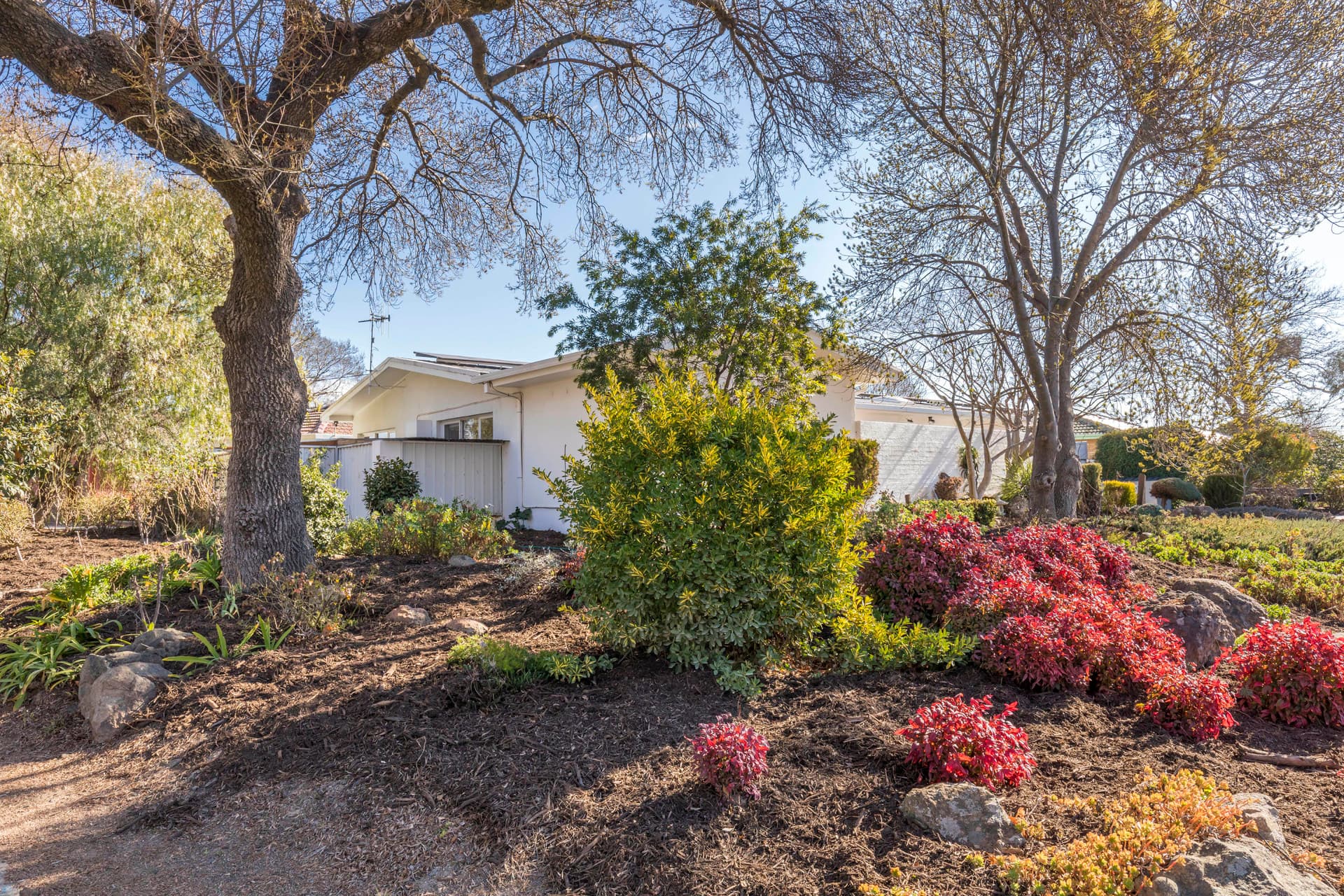 36 Phillip Avenue, Downer ACT 2602, Downer - Thumbnail 8