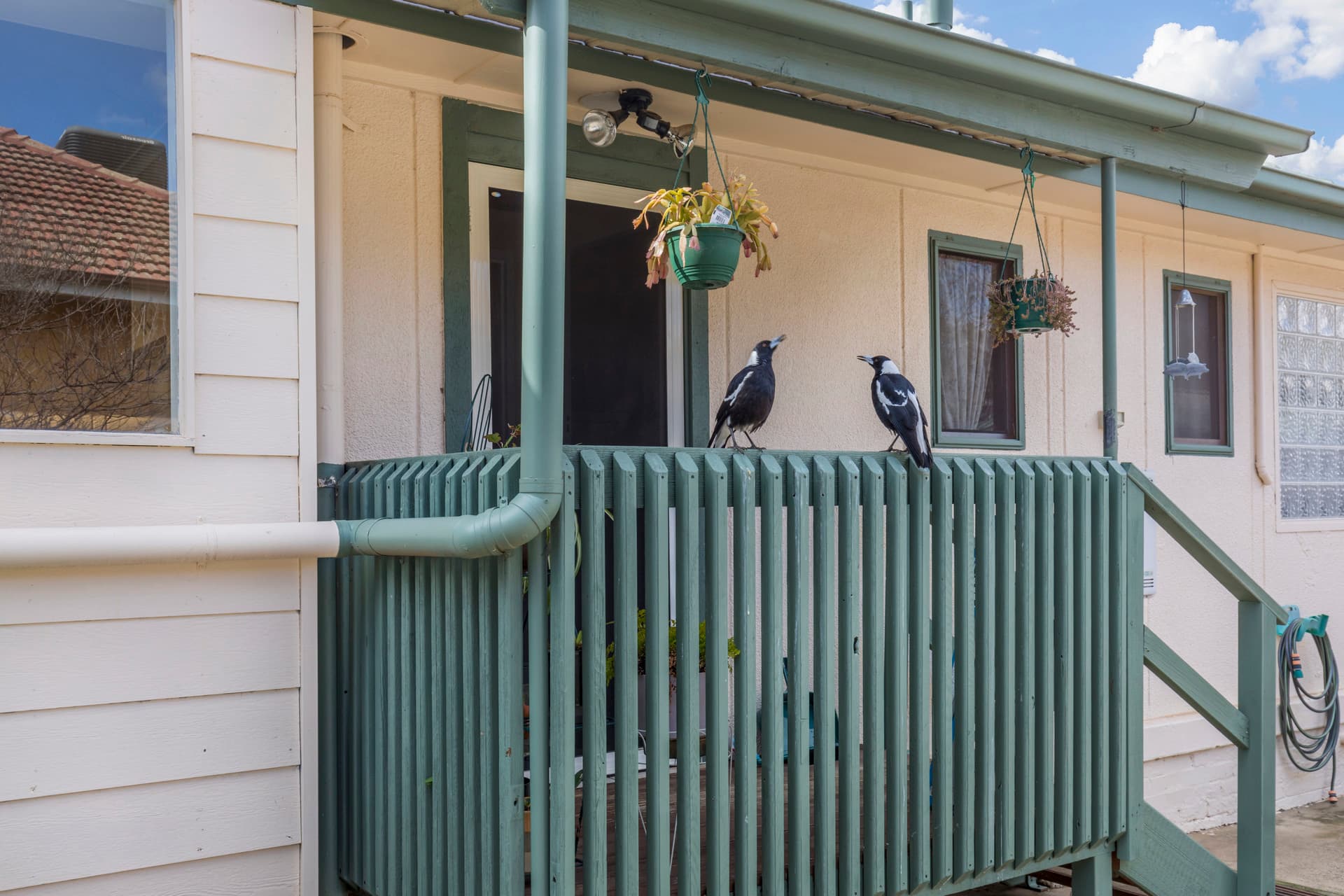 8 Lobelia Street, O'connor ACT 2602, O'Connor - Thumbnail 4