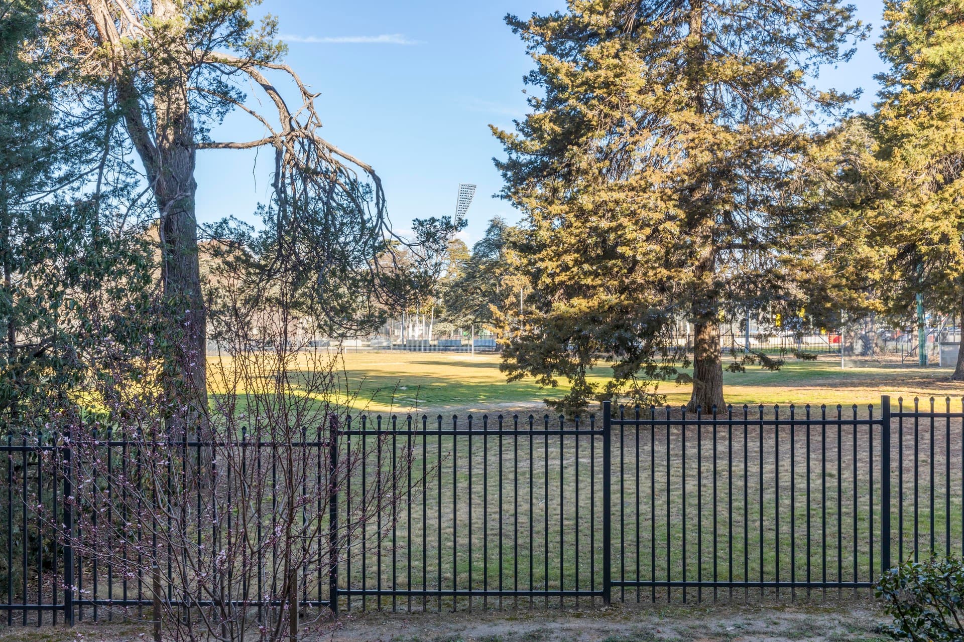 13/9 Fitzroy Street, Forrest ACT 2603, Forrest - Thumbnail 6