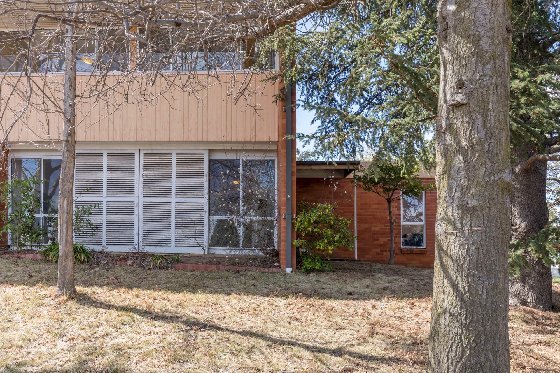 11 Kitchener Street, Hughes ACT 2605, Hughes - Thumbnail 6