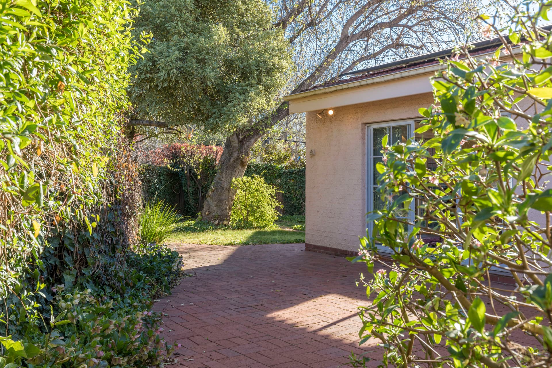 23 Elimatta Street, Reid ACT 2612, Reid - Thumbnail 8