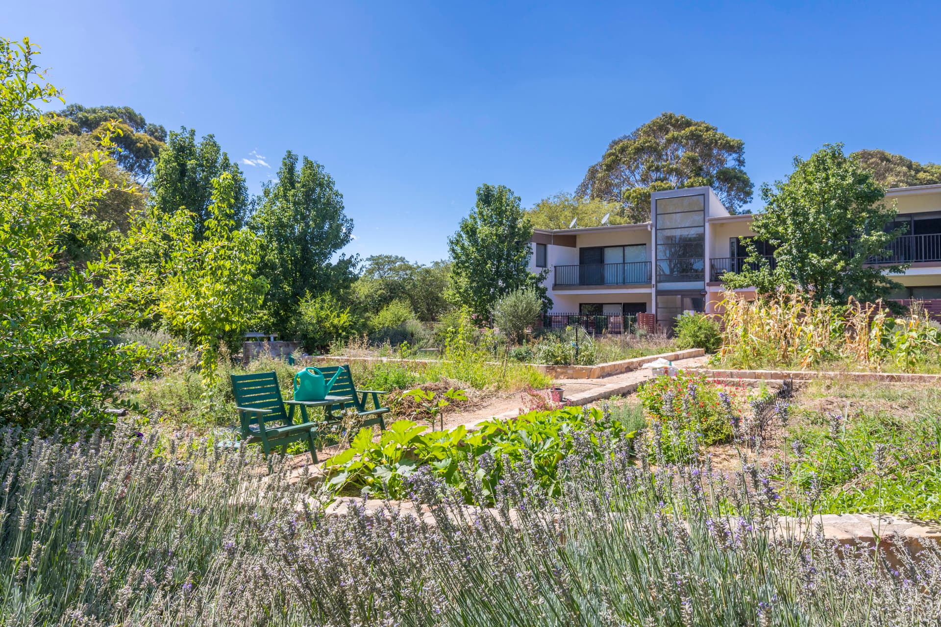5/39 Jerrabomberra Avenue, Narrabundah ACT 2604, Narrabundah - Thumbnail 4