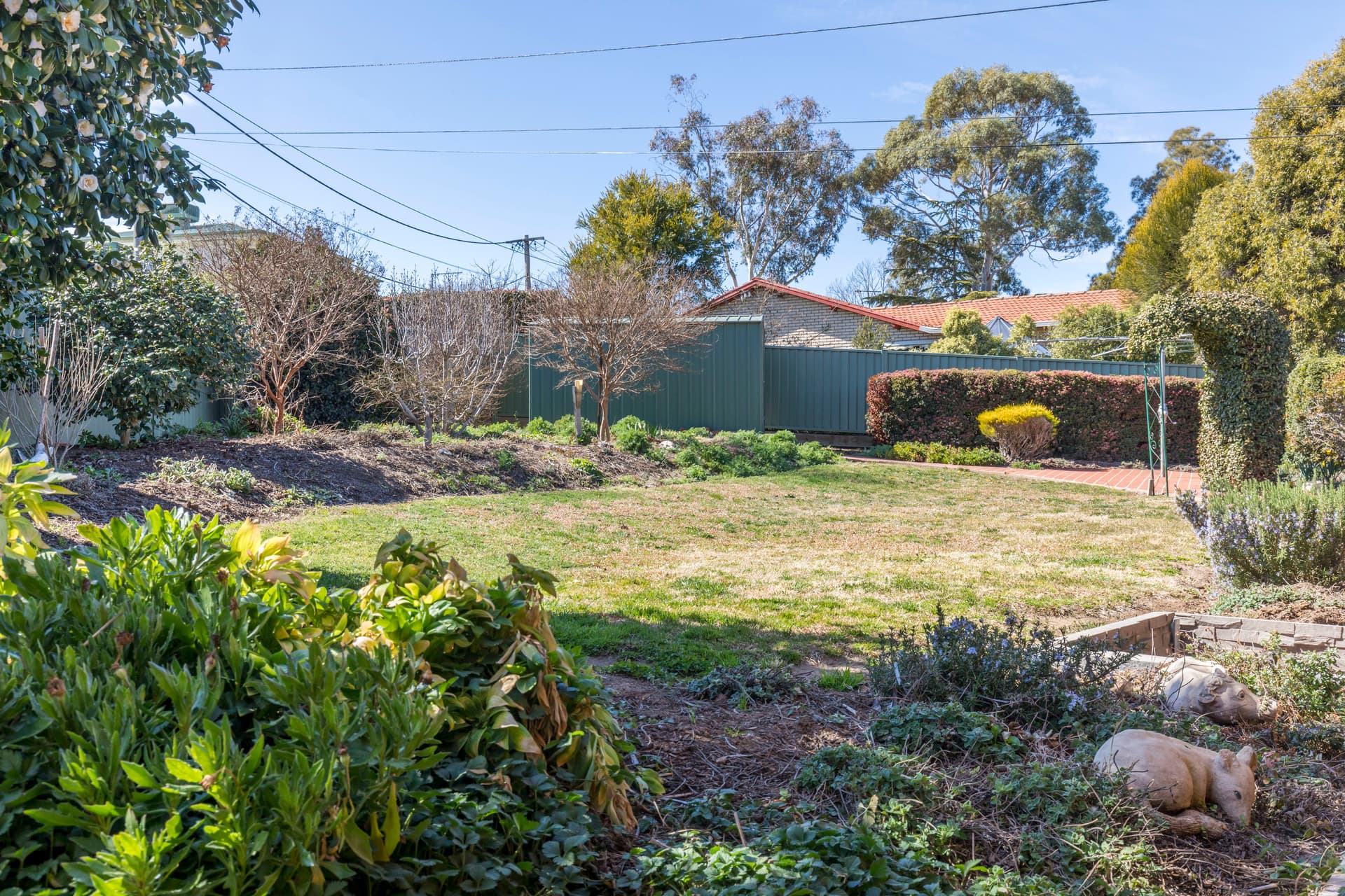 10 Alabaster Street, Monash ACT 2904, Monash - Thumbnail 7