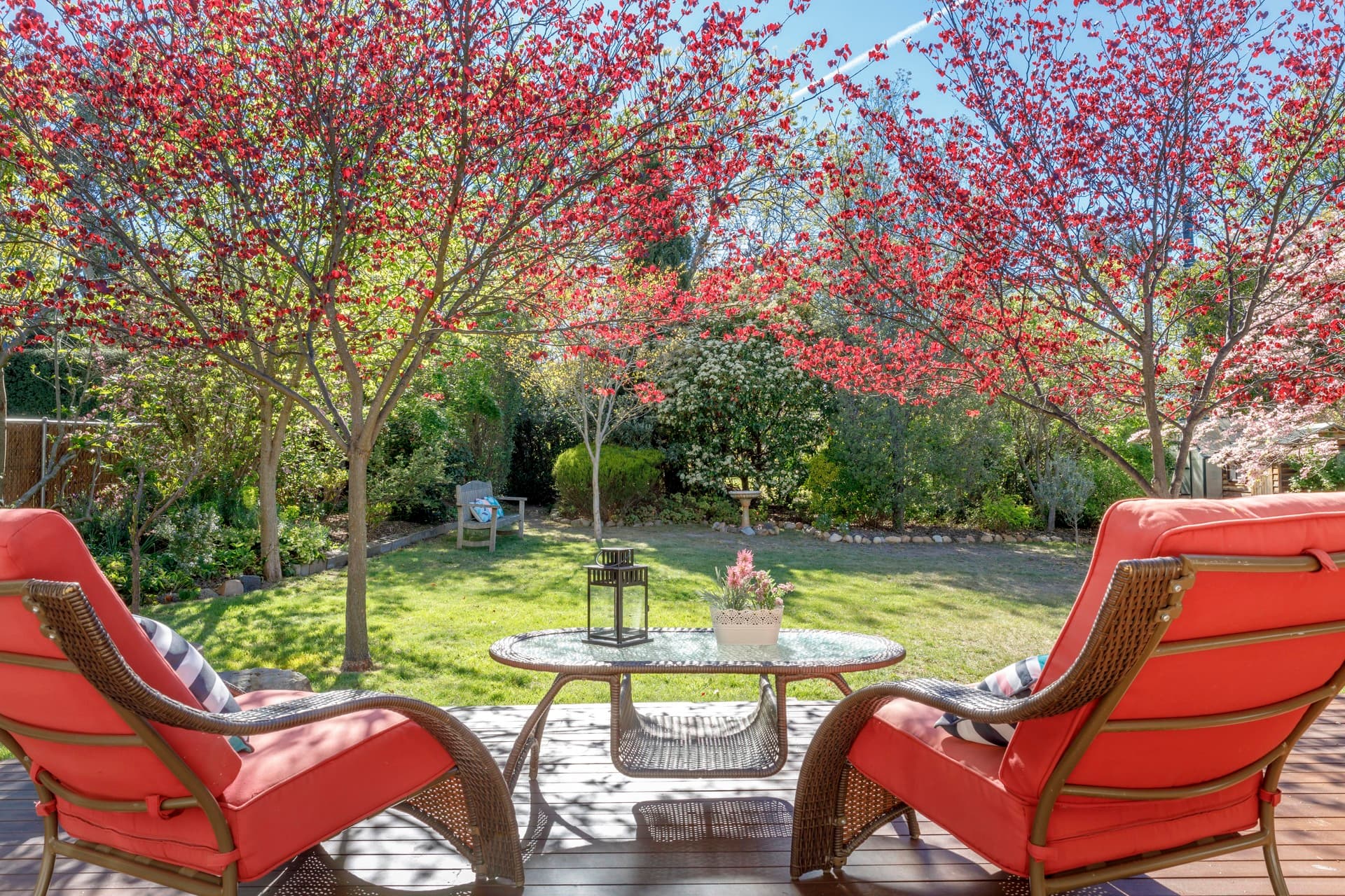 4 Godfrey Street, Campbell ACT 2612, Campbell - Thumbnail 6