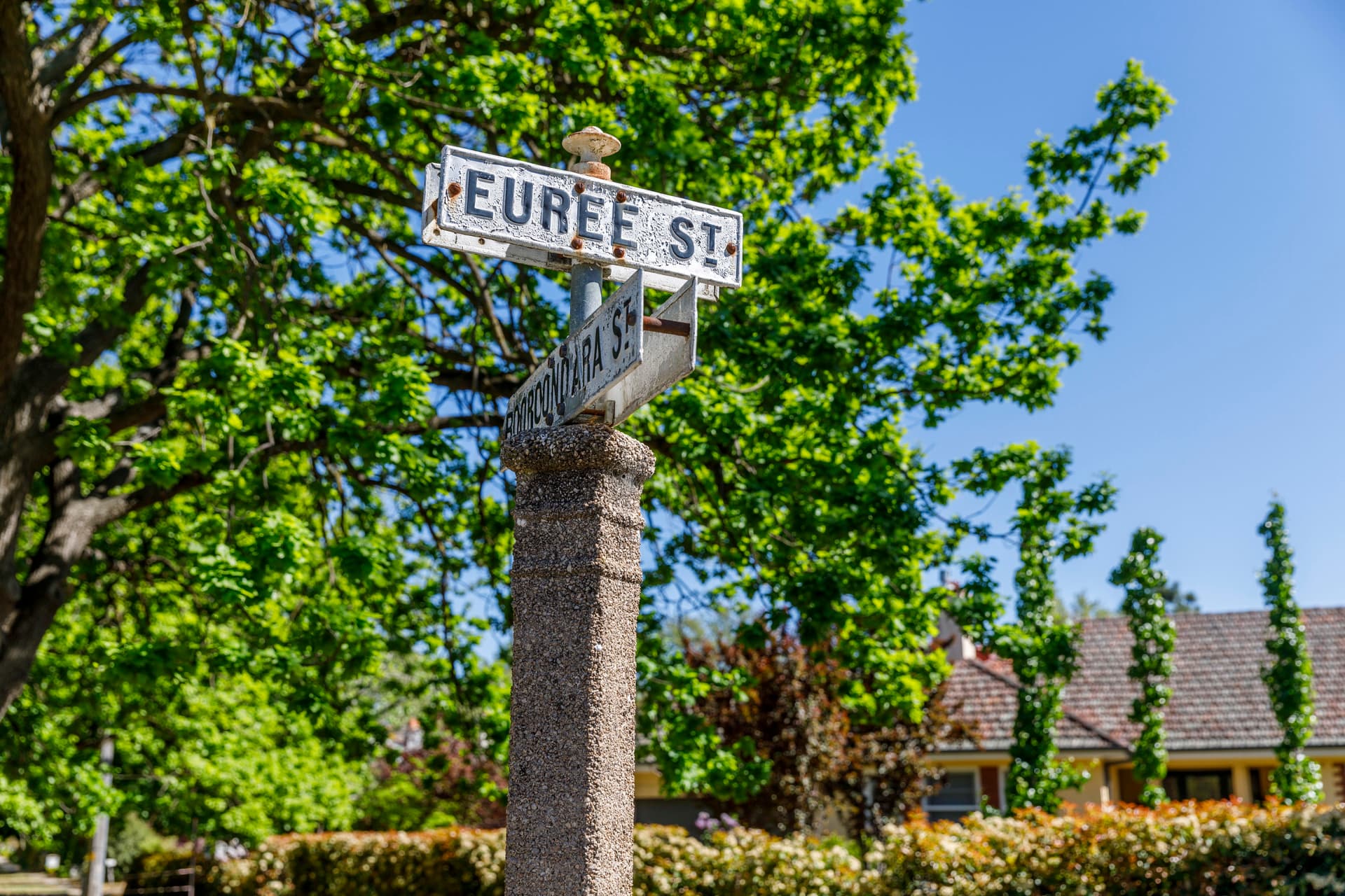 37 Euree Street, Reid ACT 2612, Reid - Thumbnail 4