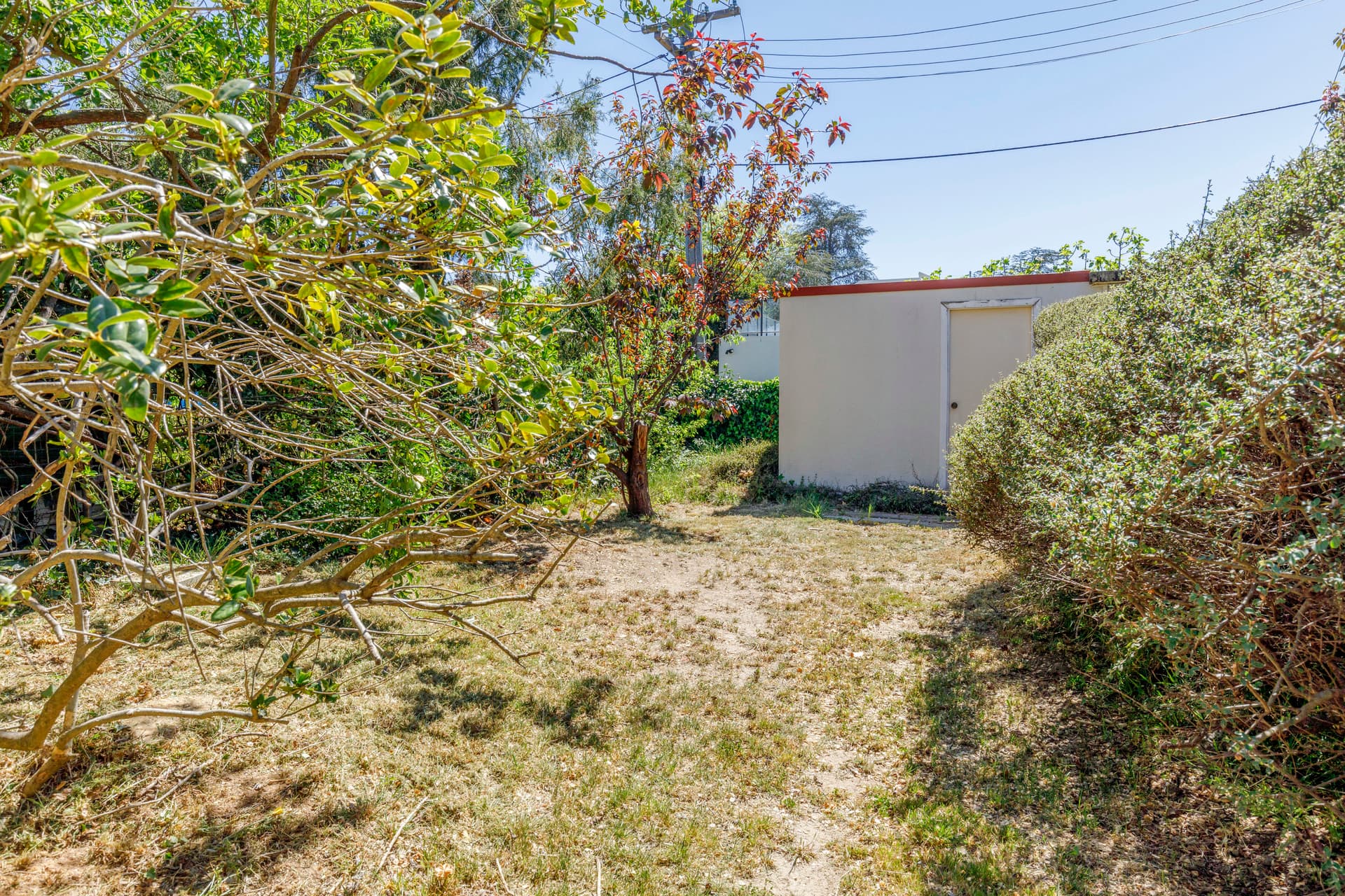 37 Euree Street, Reid ACT 2612, Reid - Thumbnail 7