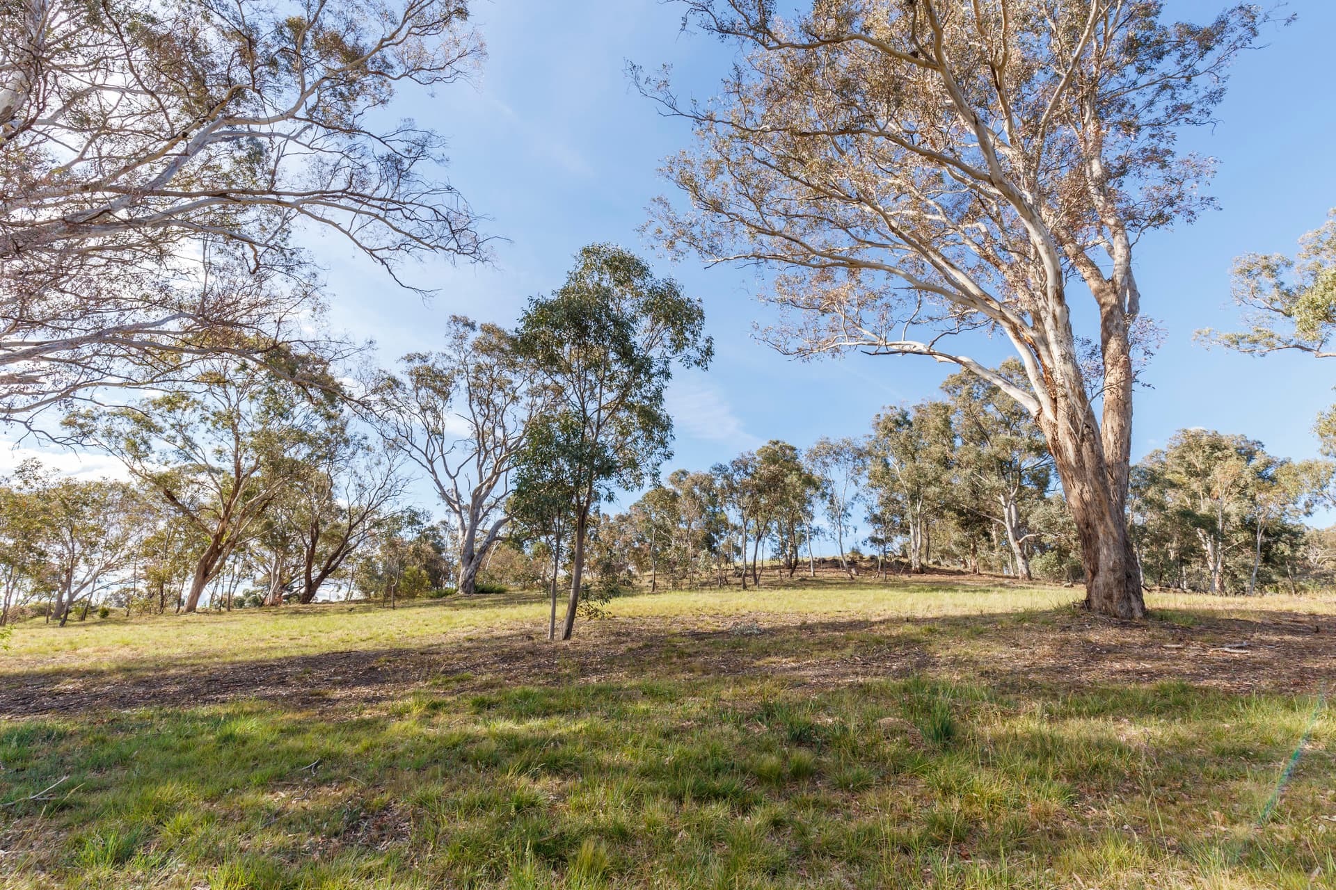 109 Kingsford Smith Drive, Melba ACT 2615, Melba - Thumbnail 6