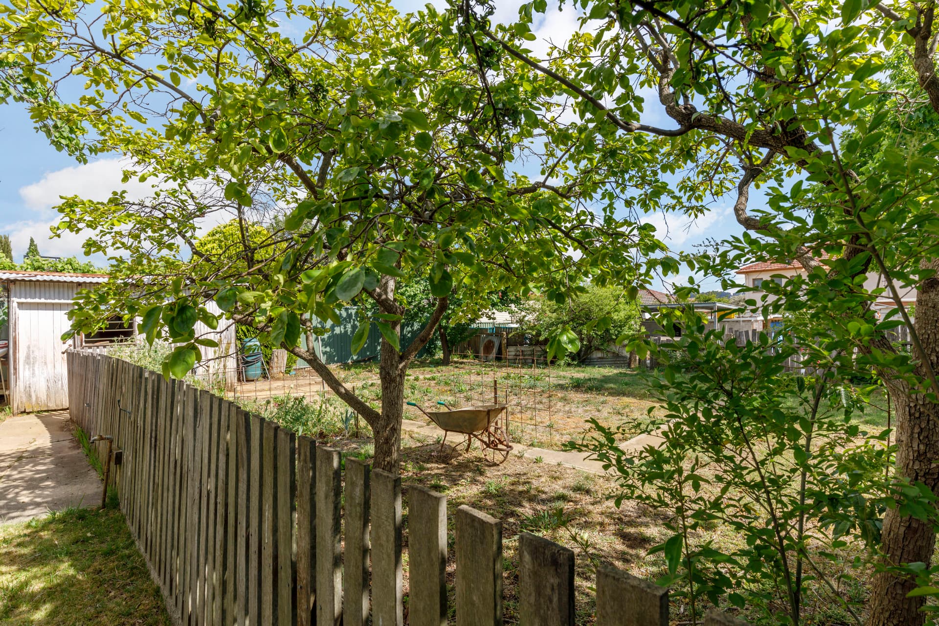 2 Arthur Street, Crestwood NSW 2620, Crestwood - Thumbnail 6