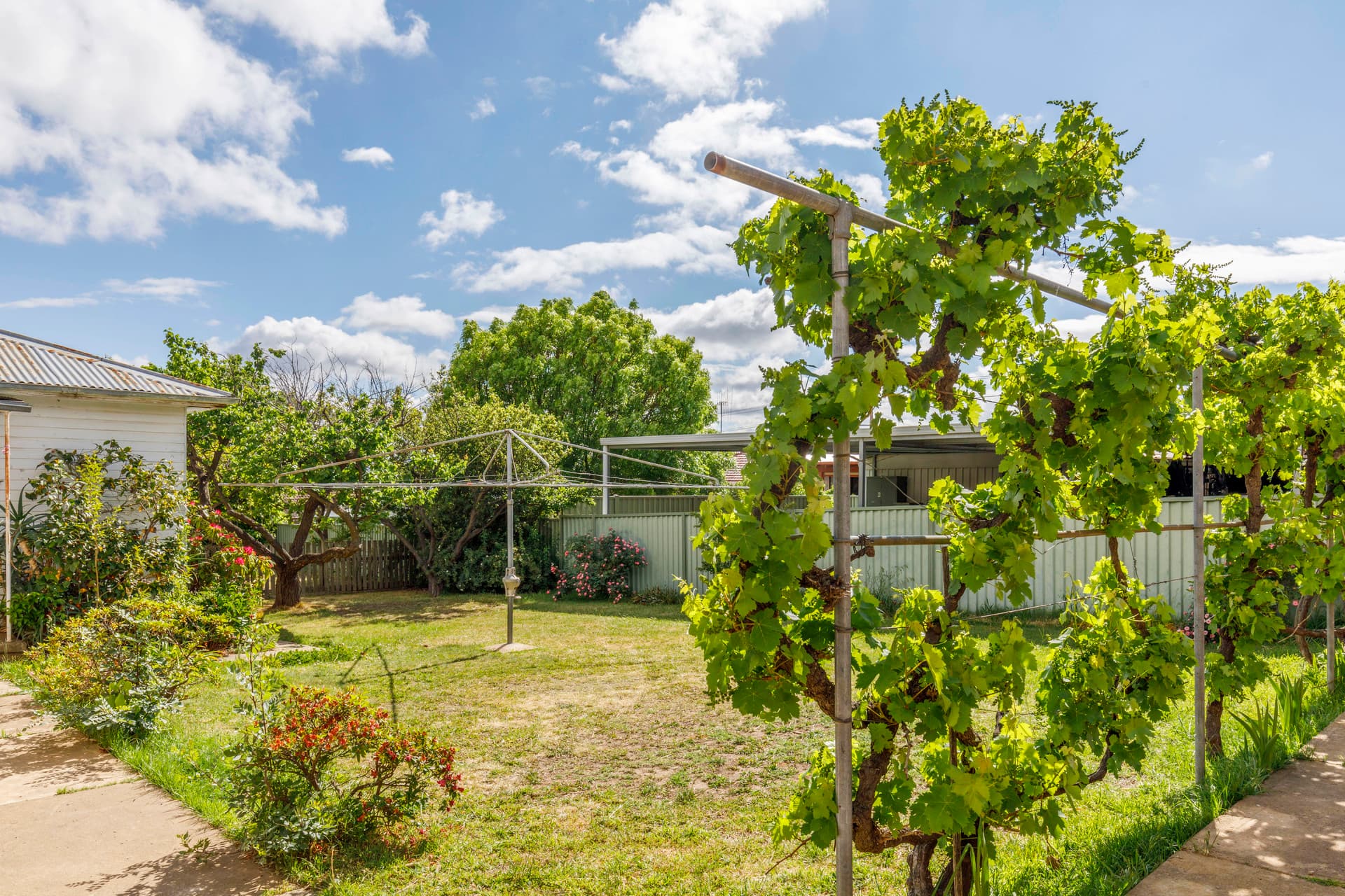 2 Arthur Street, Crestwood NSW 2620, Crestwood - Thumbnail 3