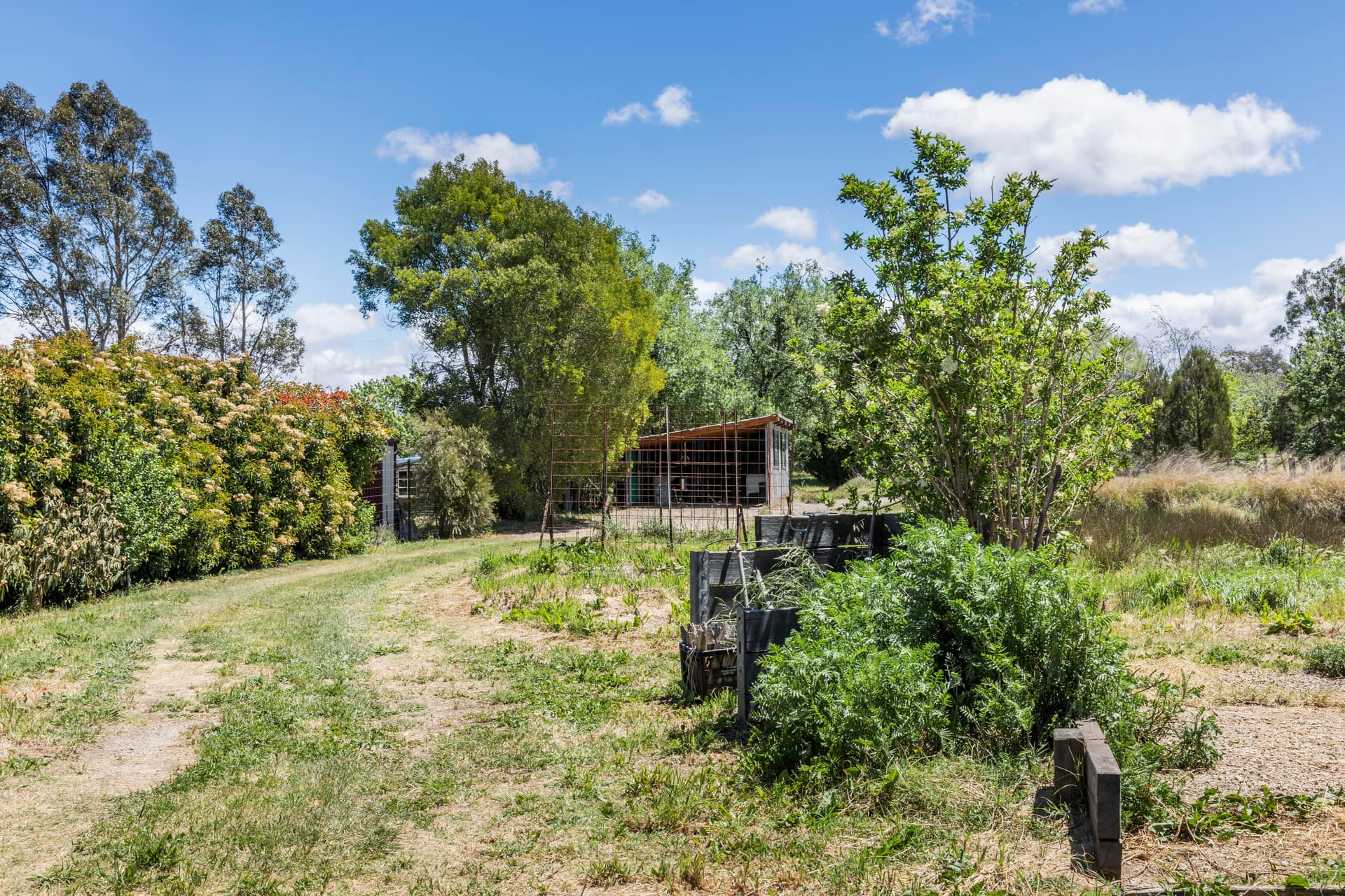 62 Monkittee Street, Braidwood NSW 2622, Braidwood - Thumbnail 7
