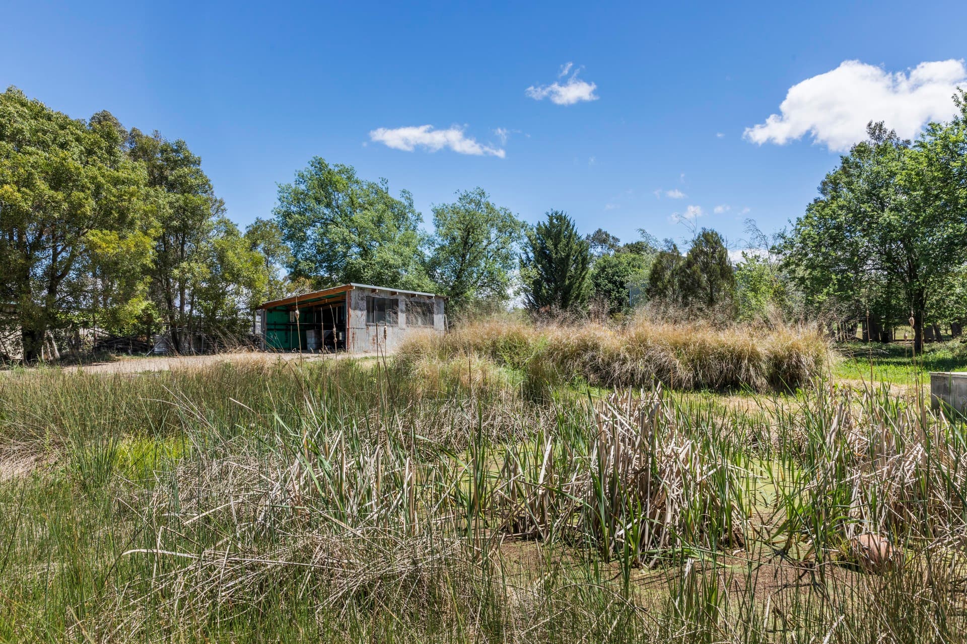 62 Monkittee Street, Braidwood NSW 2622, Braidwood - Thumbnail 6