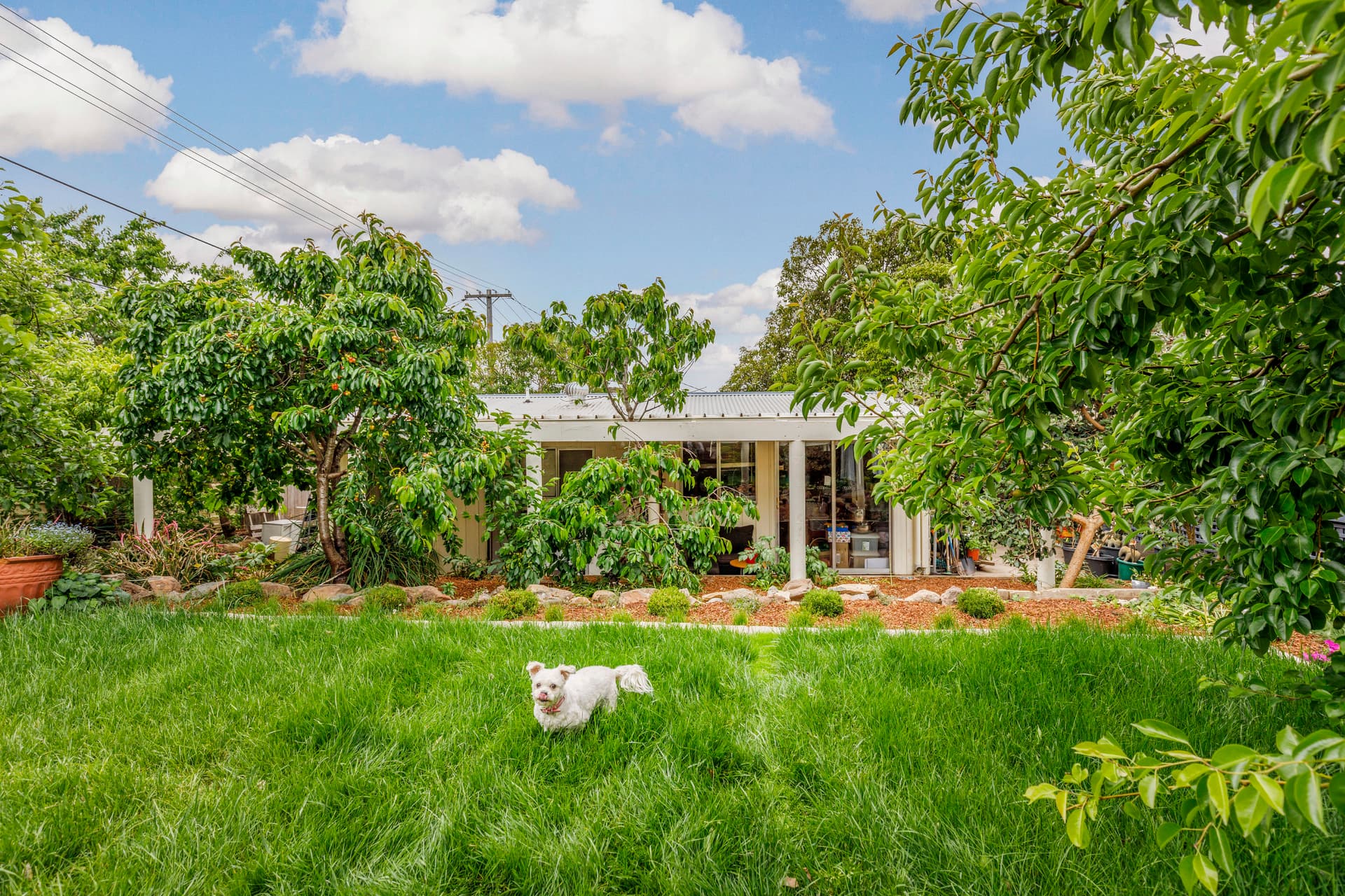 21 Angophora Street, Rivett ACT 2611, Rivett - Thumbnail 8