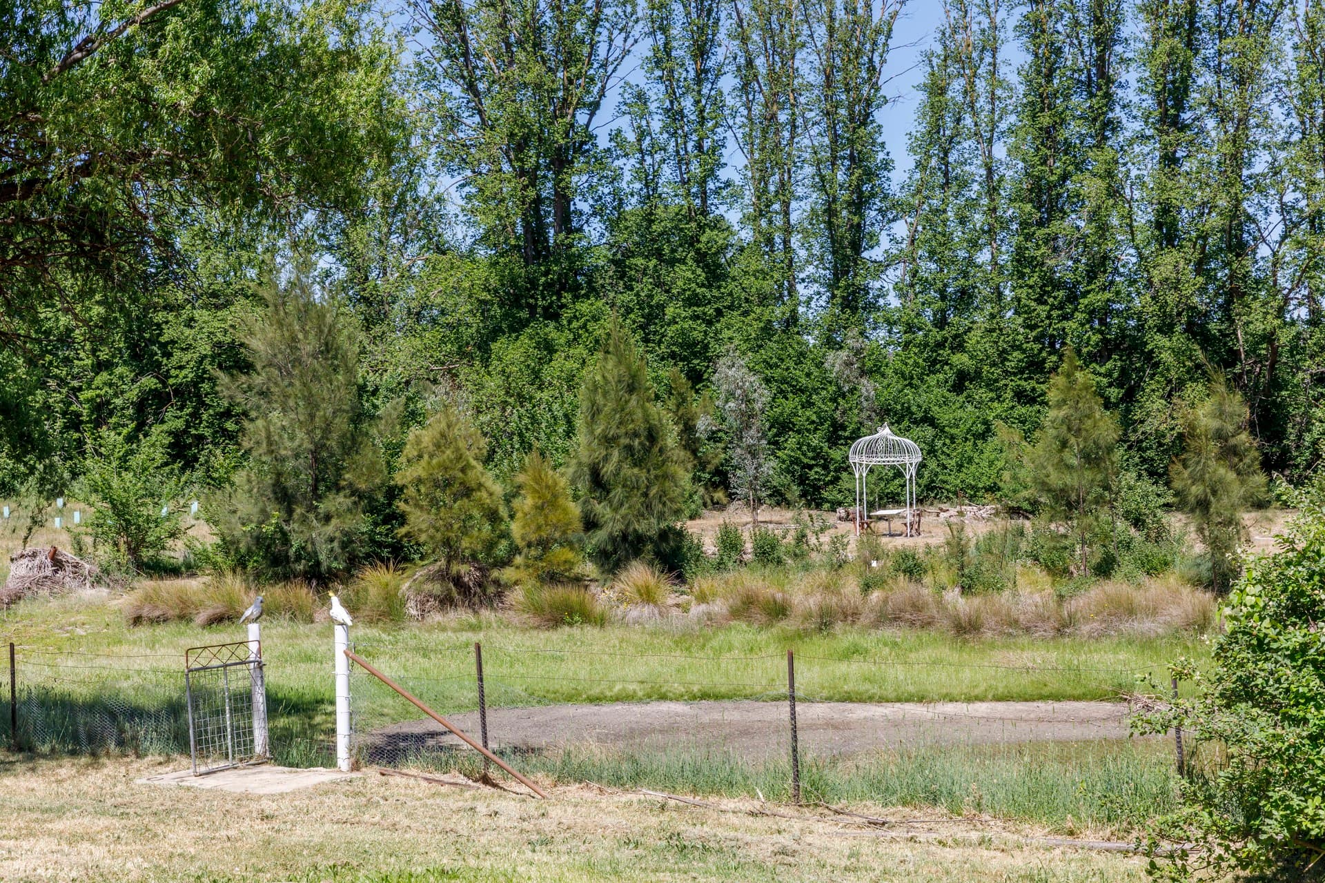 24 Collector Road, Gunning NSW 2581, Gunning - Thumbnail 2