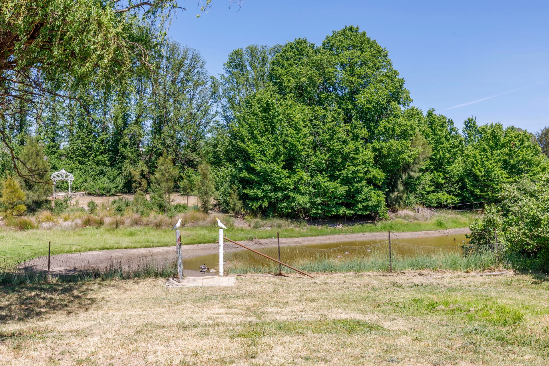 24 Collector Road, Gunning NSW 2581, Gunning - Thumbnail 6