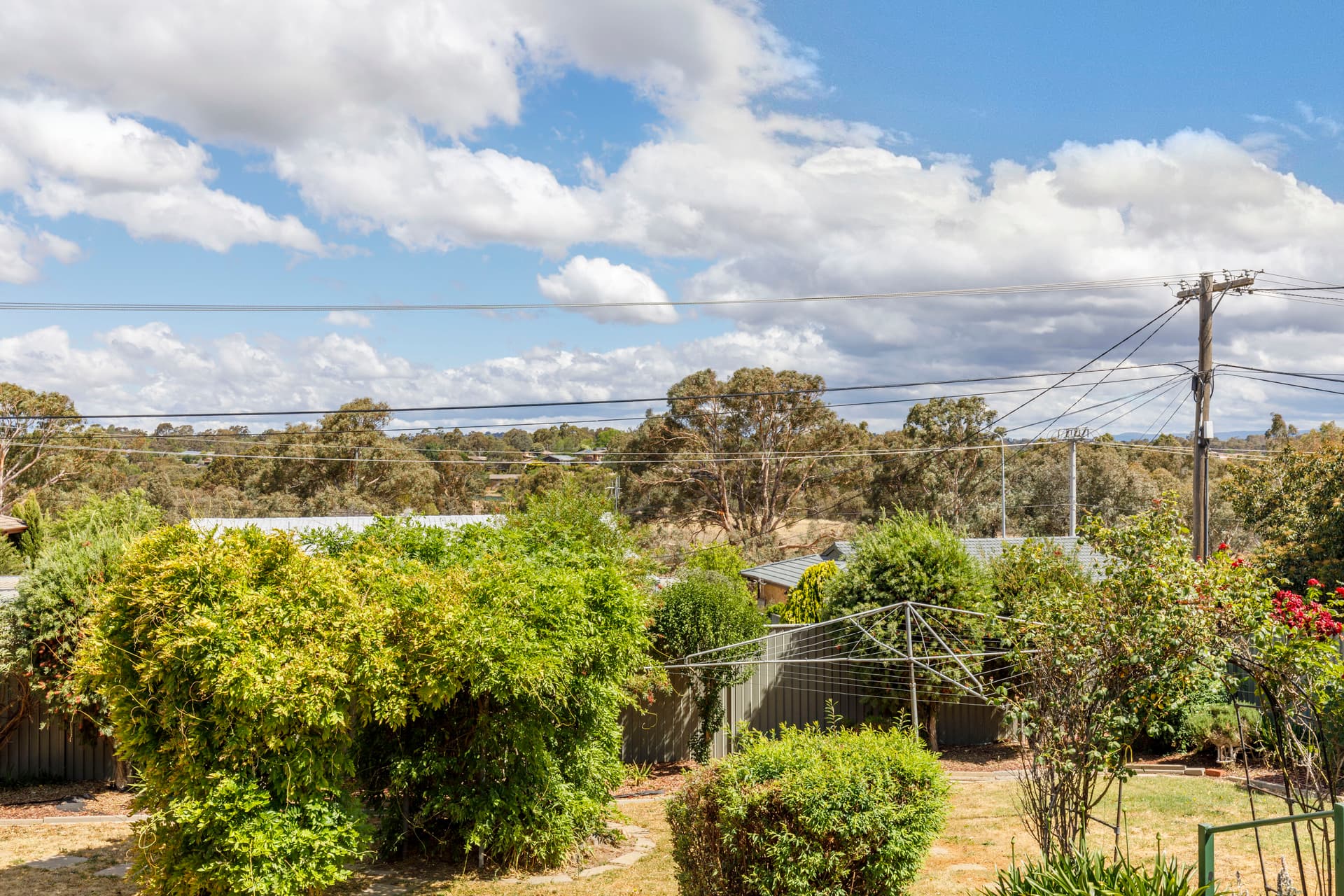 34 Hayward Street, Macgregor ACT 2615, Macgregor - Thumbnail 5