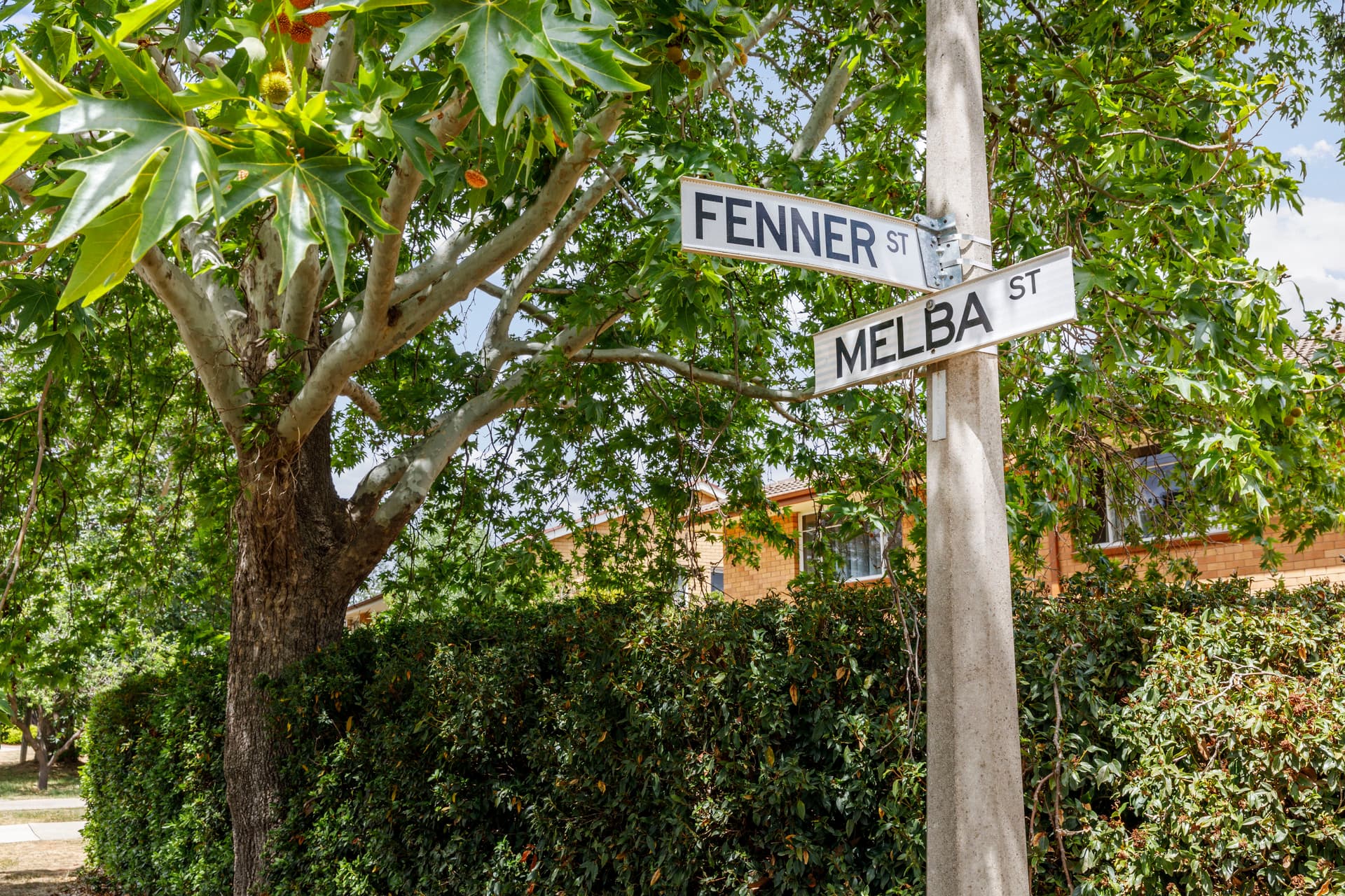 2/65 Melba Street, Downer ACT 2602, Downer - Thumbnail 2