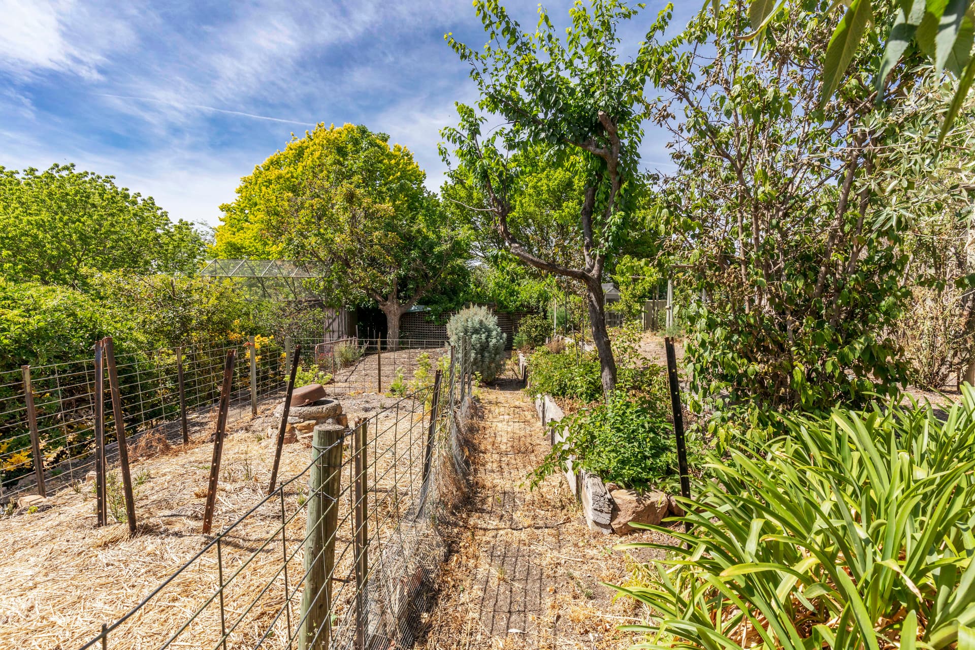 70 Hawker Street, Torrens ACT 2607, Torrens - Thumbnail 6