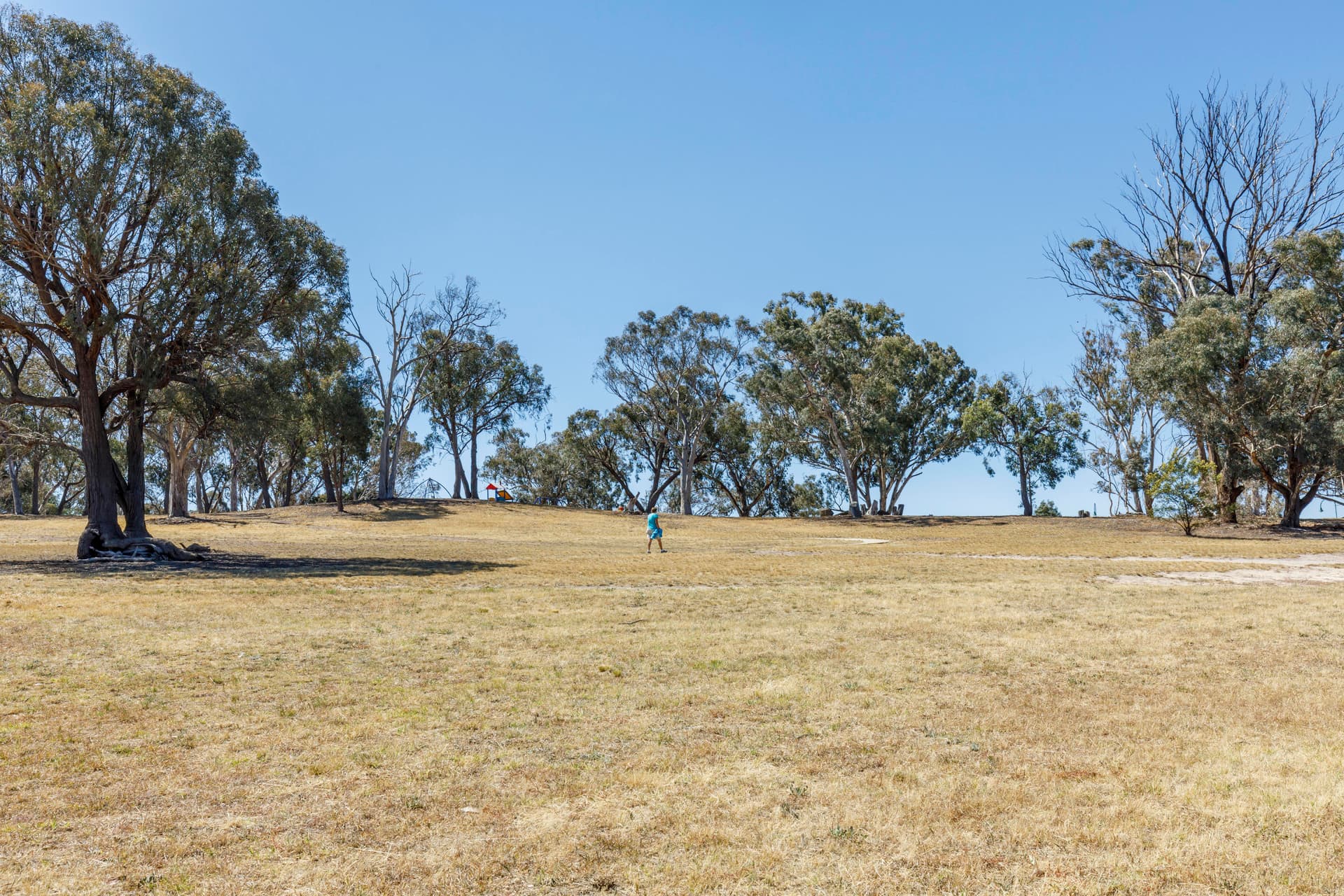 45/120 Thynne Street, Bruce ACT 2617, Bruce - Thumbnail 5