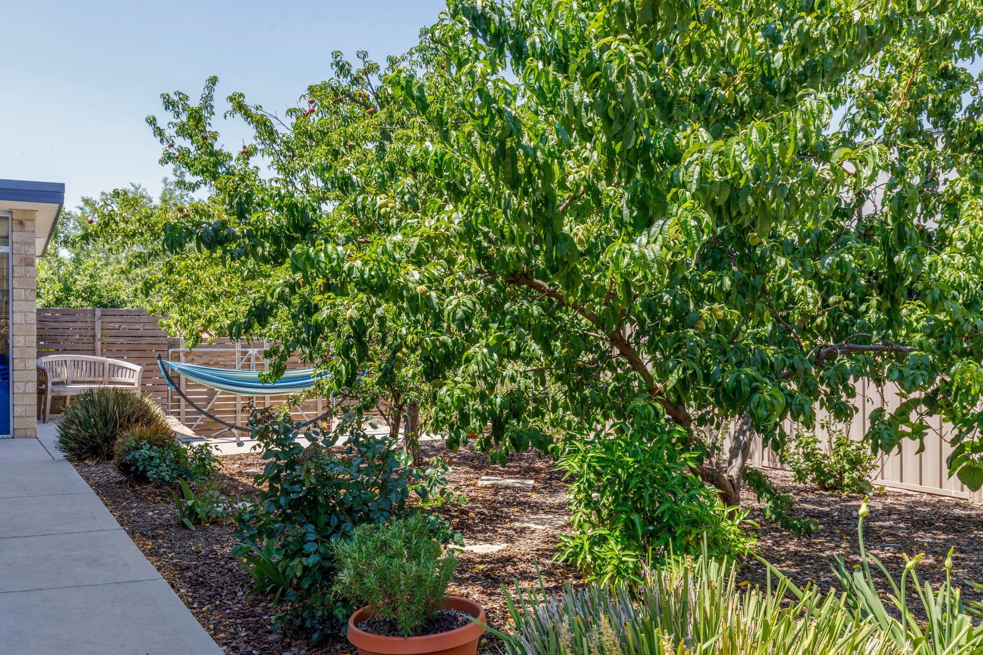 84 Don Dunstan Drive, Bonython ACT 2905, Bonython - Thumbnail 8