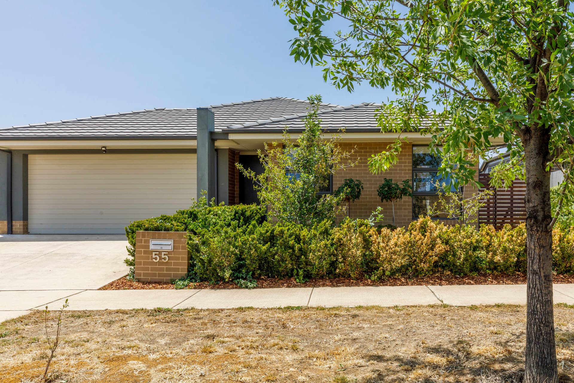 55 Zanci Street, Crace ACT 2911, Crace - Thumbnail 7