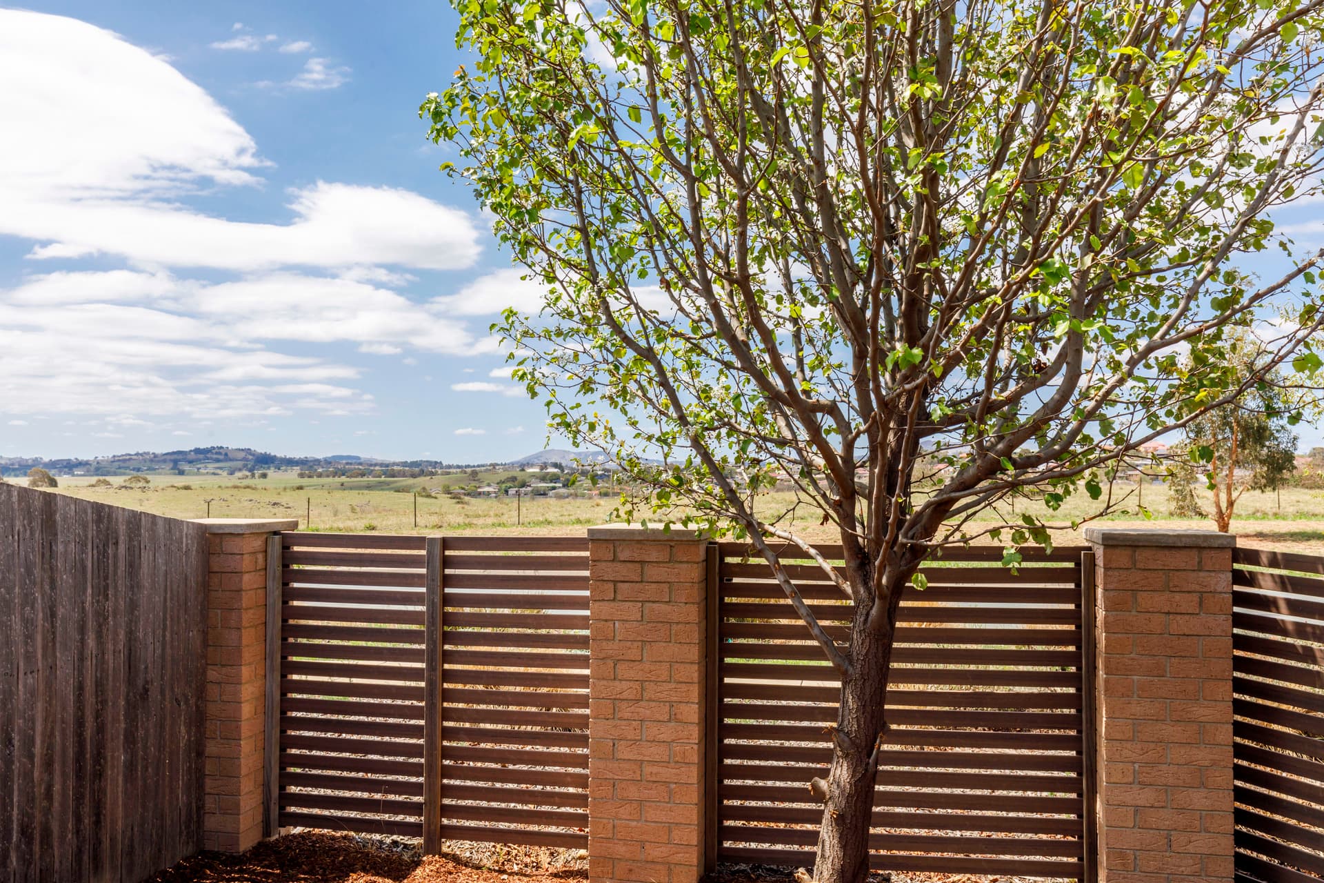 2/204 Macfarlane Burnet Avenue, Macgregor ACT 2615, Macgregor - Thumbnail 3
