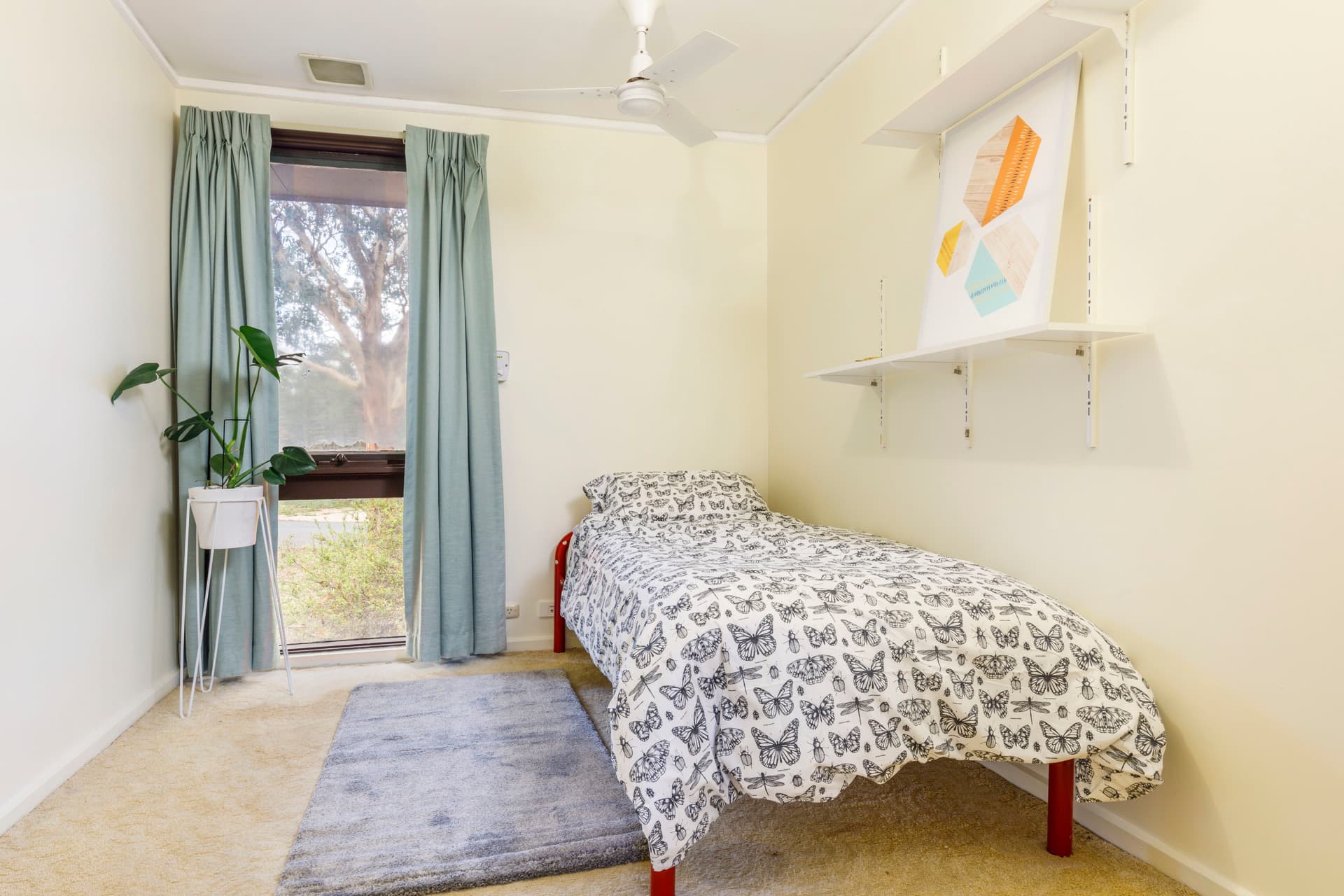 12 Hellyer Street, Holder ACT 2611, Holder - Thumbnail 4