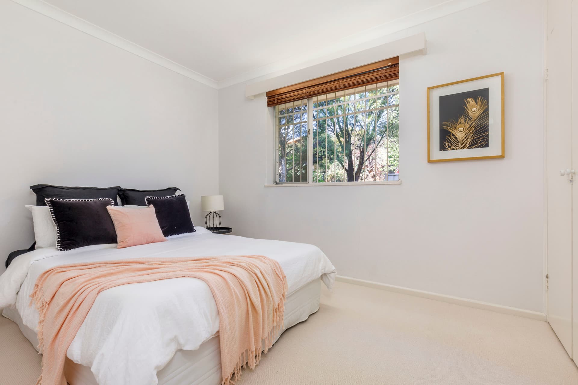 20 Galway Place, Deakin ACT 2600, Deakin - Thumbnail 2