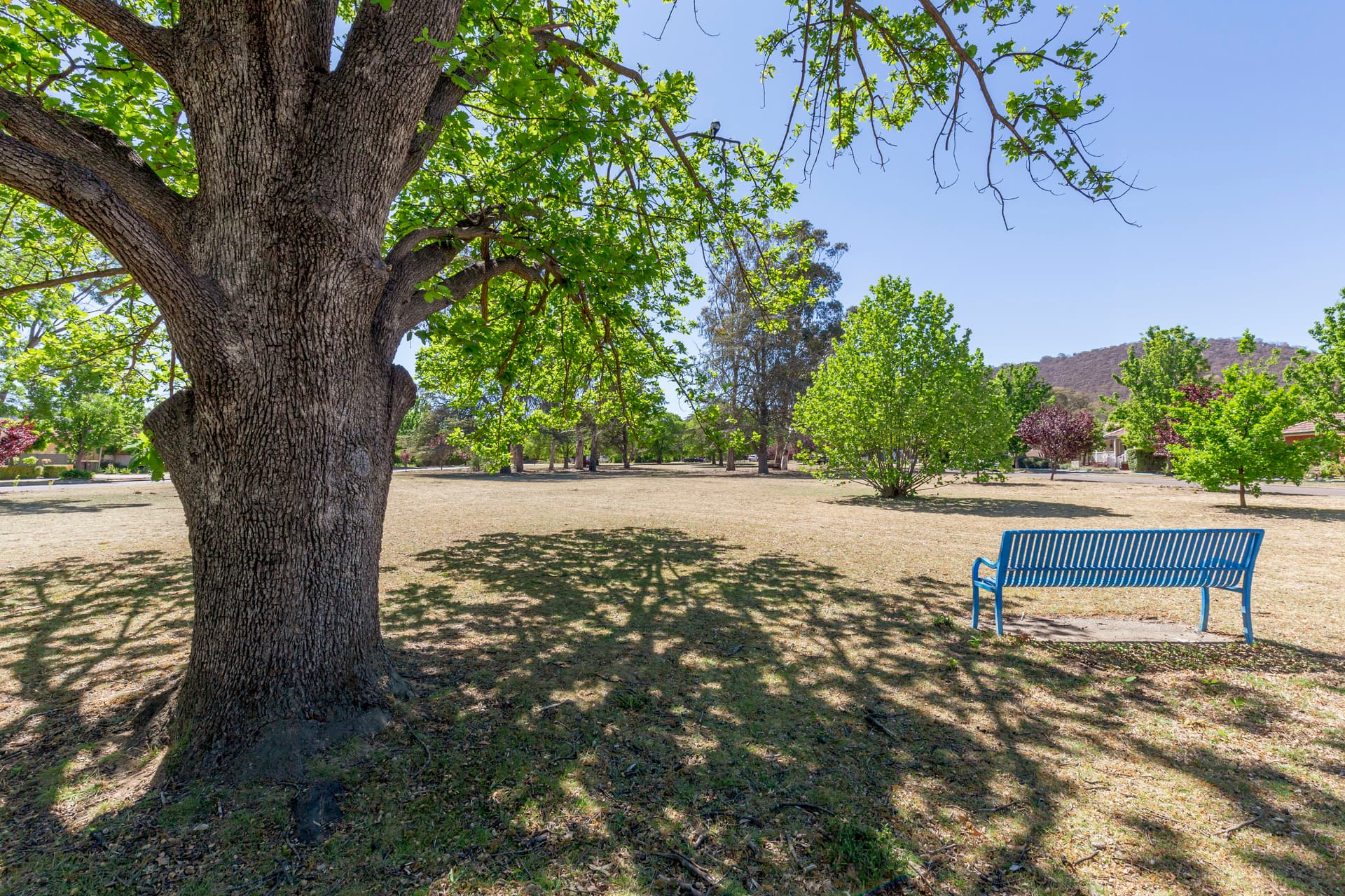 34 Hoddle Gardens, Ainslie ACT 2602, Ainslie - Thumbnail 6