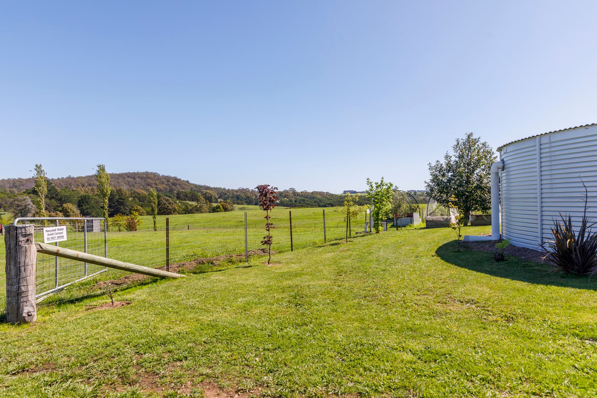 2 Hill Street, Majors Creek NSW 2622, Majors Creek - Thumbnail 5