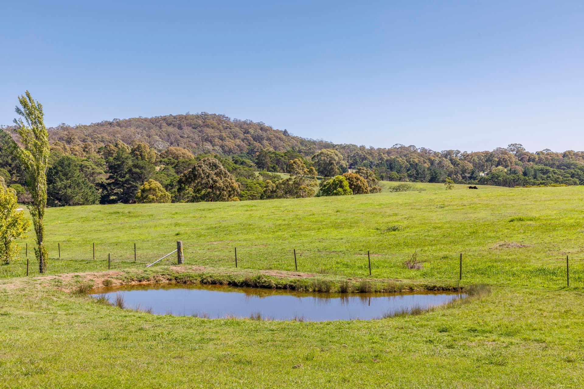 2 Hill Street, Majors Creek NSW 2622, Majors Creek - Thumbnail 6