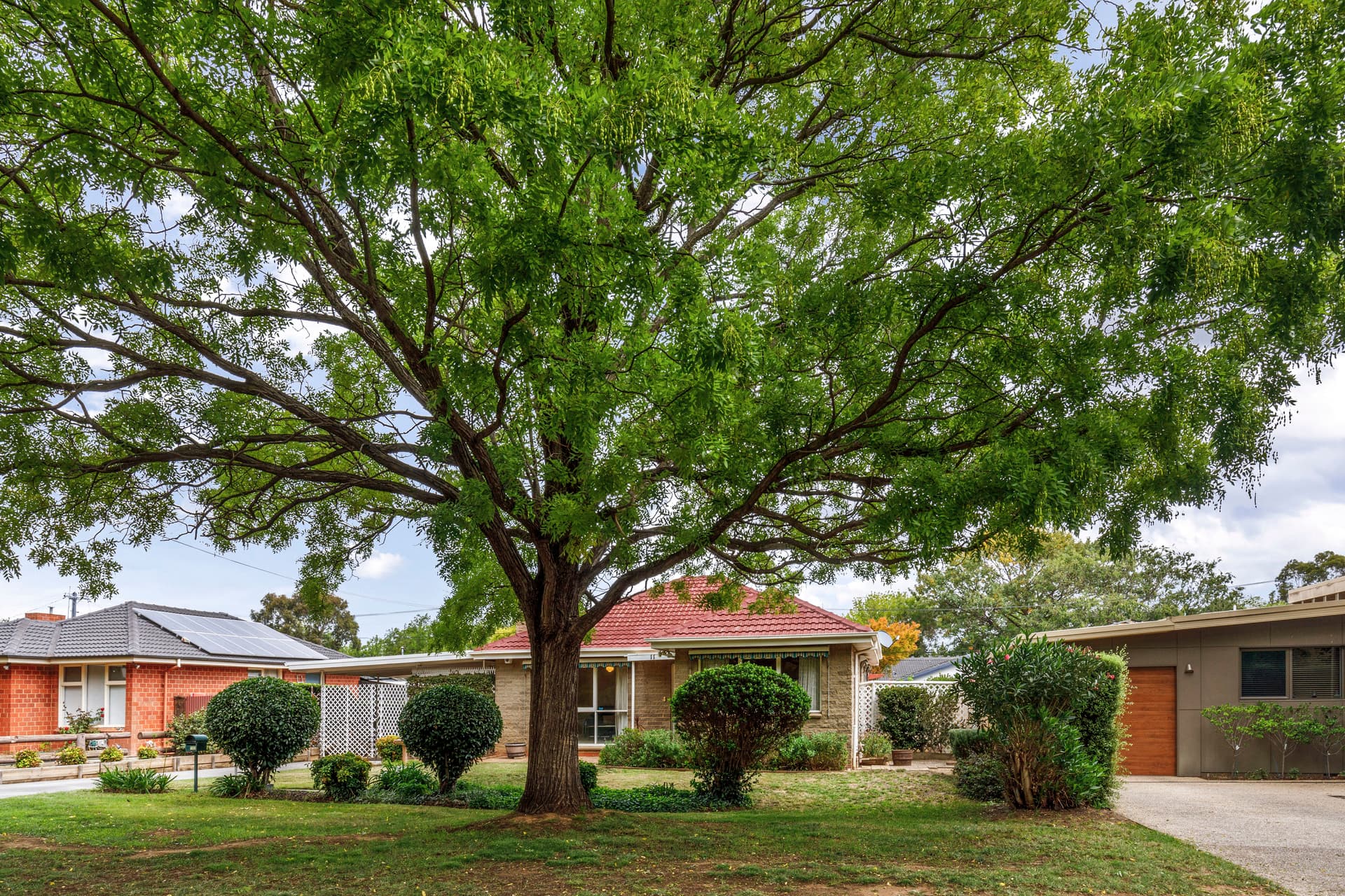 11 Kernot Street, Dickson ACT 2602, Dickson - Thumbnail 7