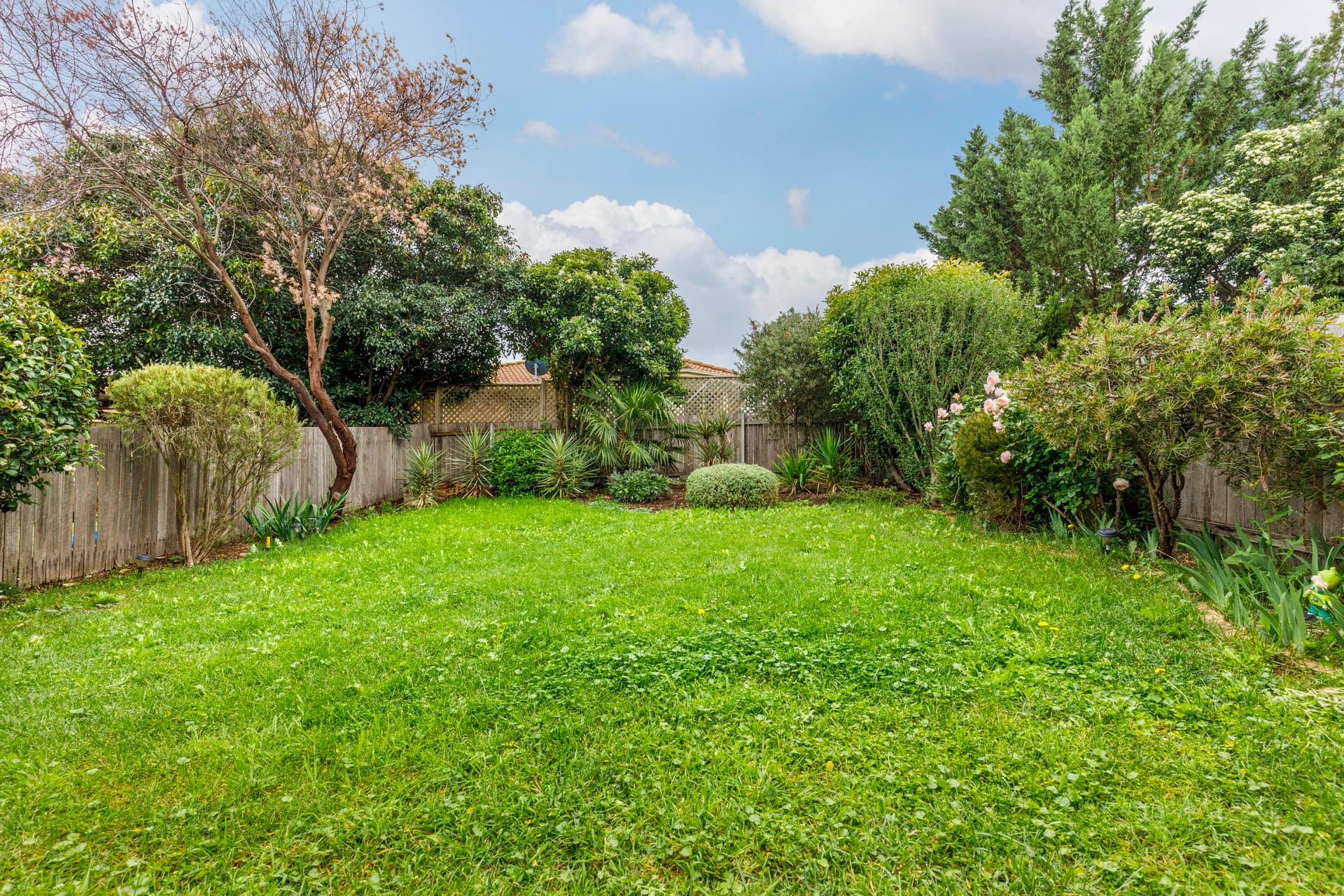 18 Burraly Court, Ngunnawal ACT 2913, Ngunnawal - Thumbnail 6
