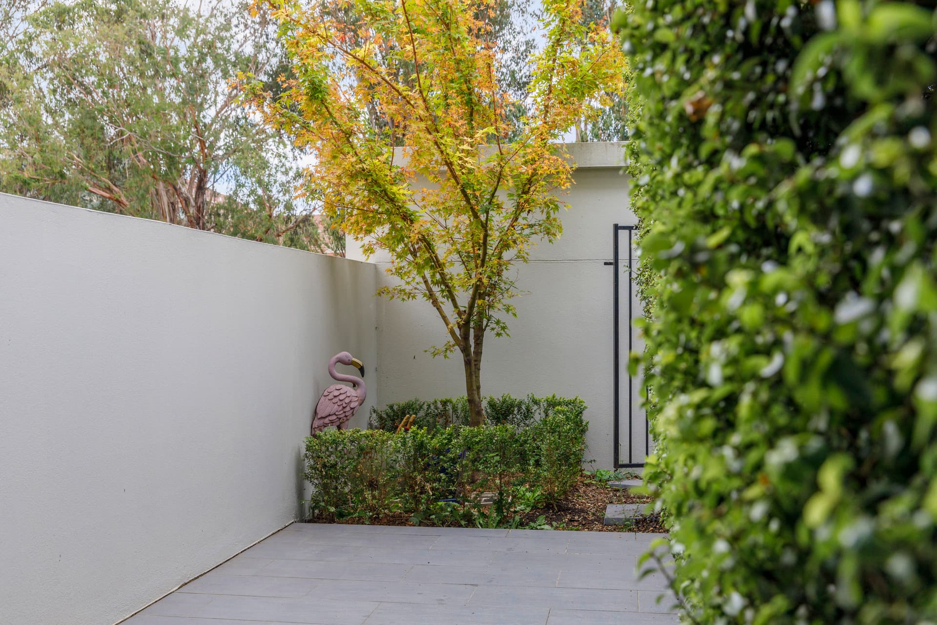 1/28 Canberra Avenue, Forrest ACT 2603, Forrest - Thumbnail 8
