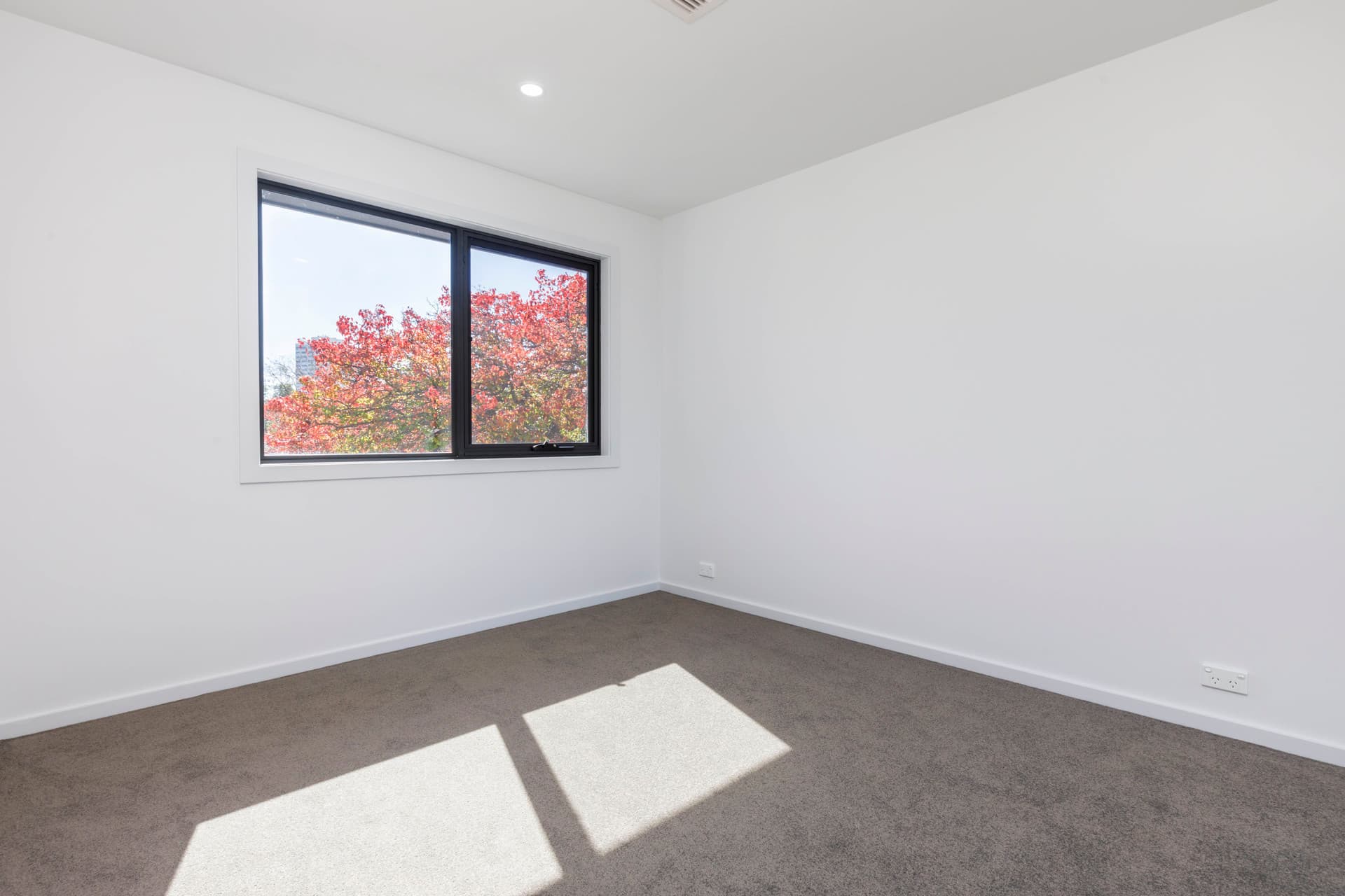 16B Anderson Street, Chifley ACT 2606, Chifley - Thumbnail 6