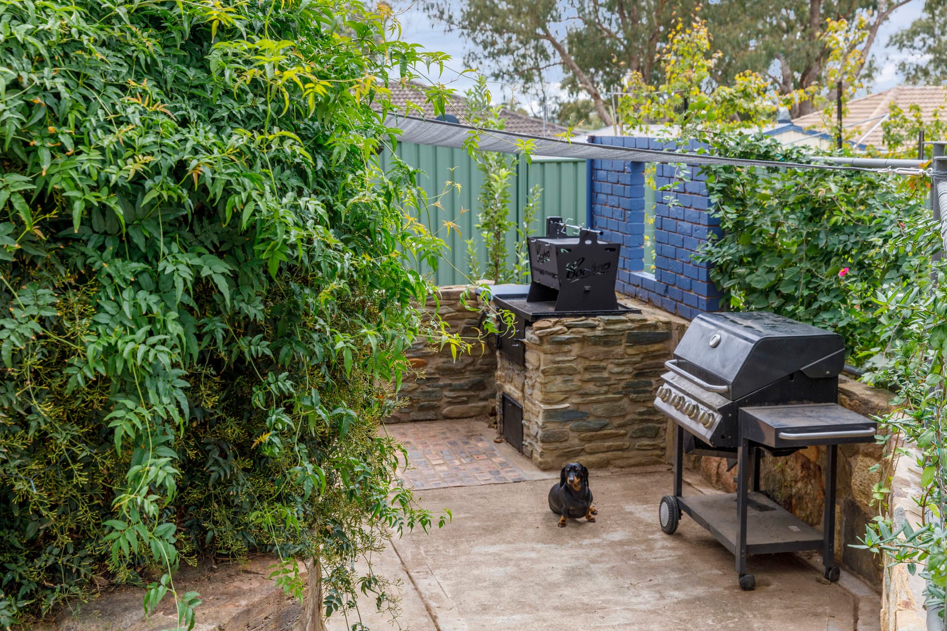 10 Epacris Place, Rivett ACT 2611, Rivett - Thumbnail 4