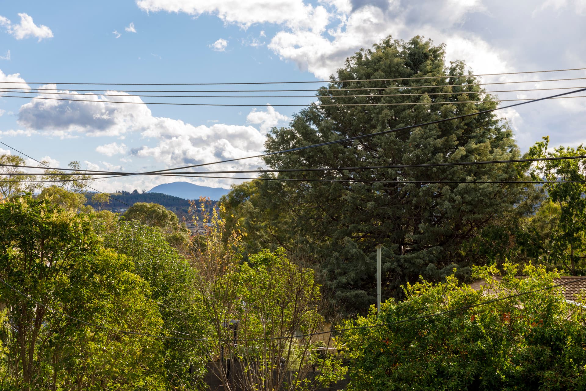 16 Ironside Street, Weston ACT 2611, Weston - Thumbnail 7