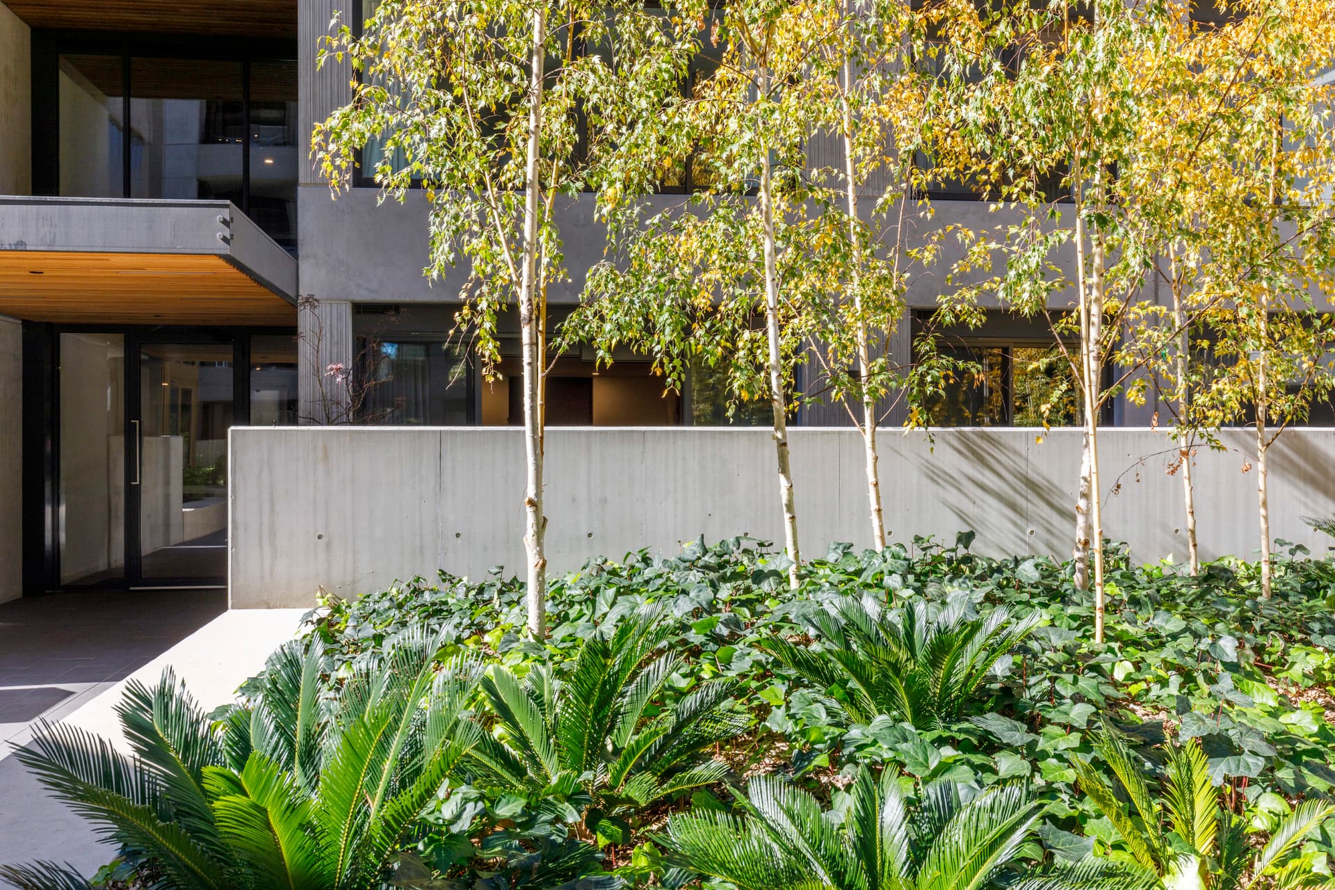 4/217 Northbourne Avenue, Turner ACT 2612, Turner - Thumbnail 6